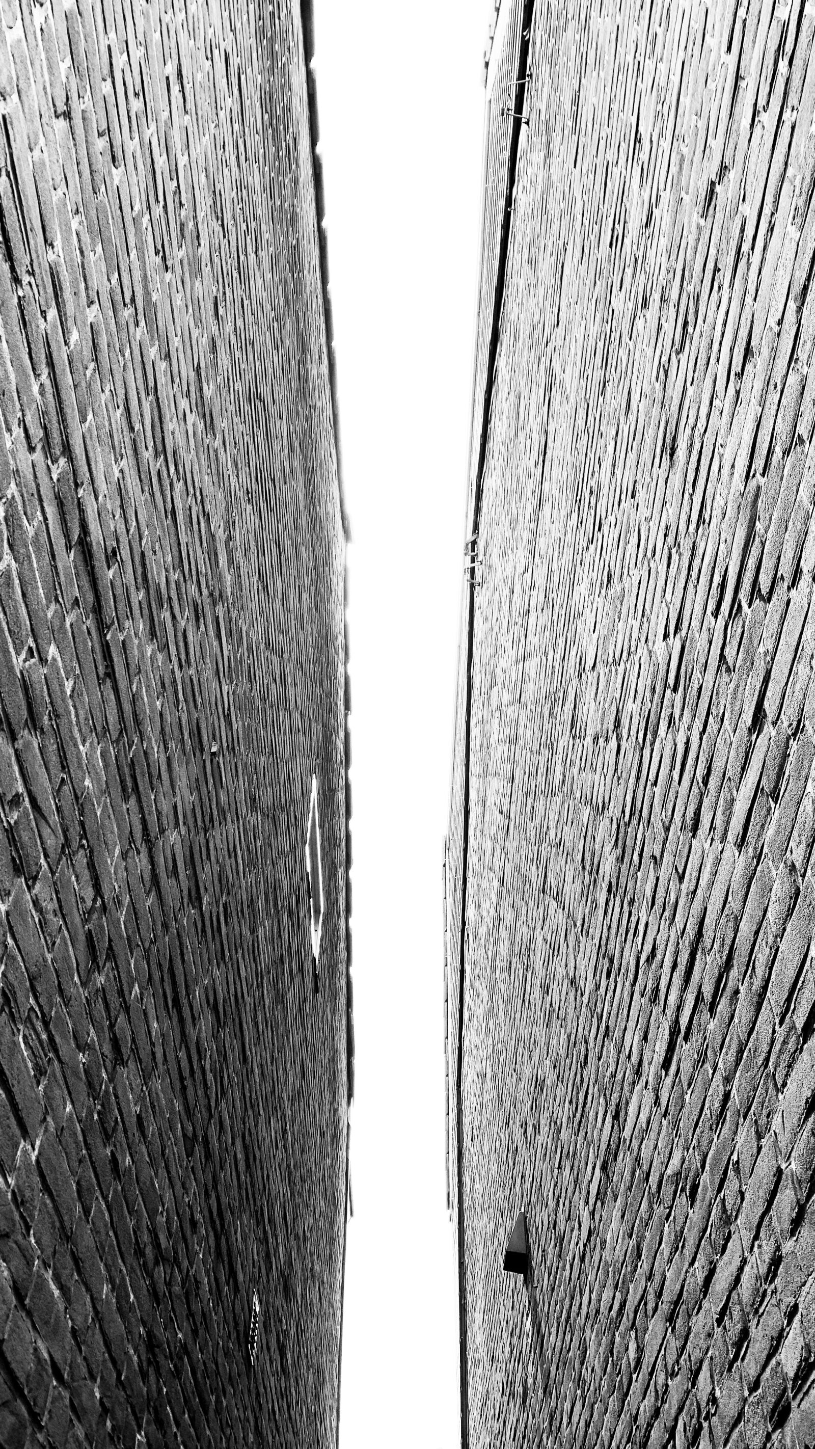 iPhone XR back camera 4.25mm f/1.8 sample photo. Rose, street, city photography