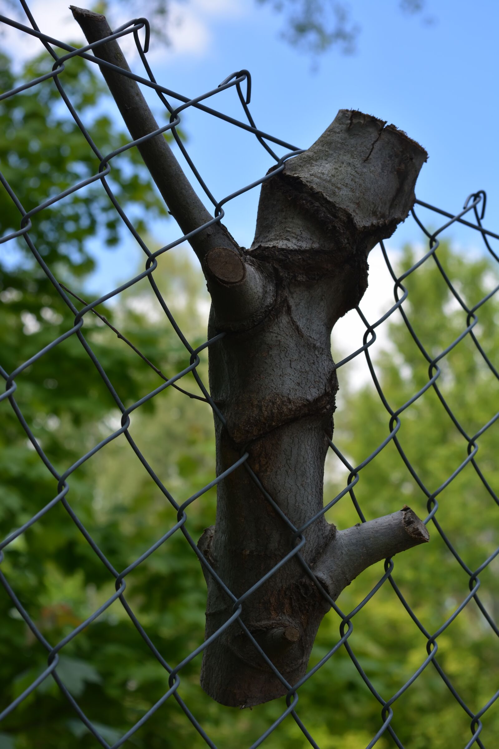 Nikon D5200 sample photo. Konzentrationslager, dachau, history photography