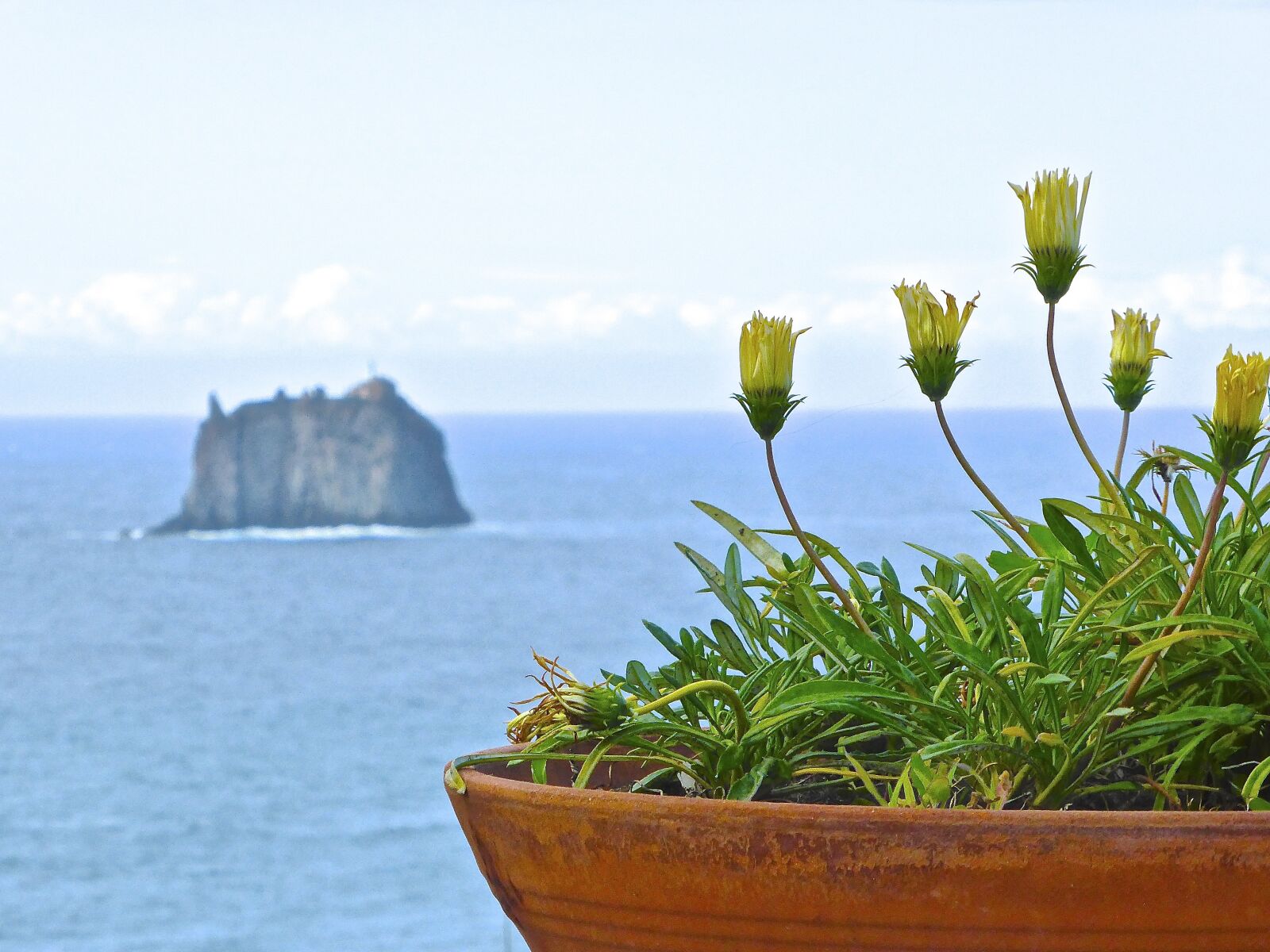 Panasonic DMC-TZ41 sample photo. Flower, view, island photography