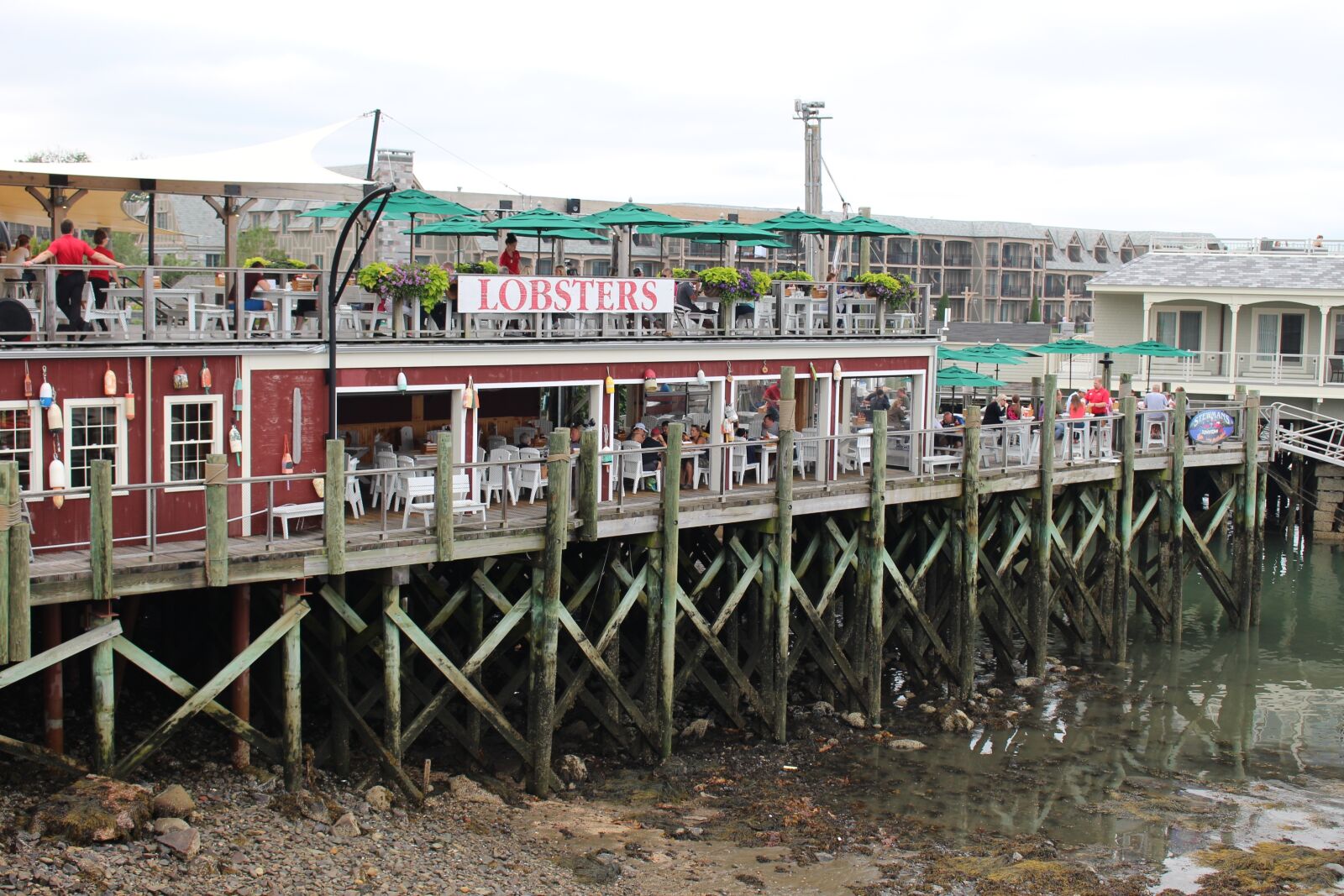 Canon EOS 100D (EOS Rebel SL1 / EOS Kiss X7) sample photo. Lobster, restaurant, dock photography