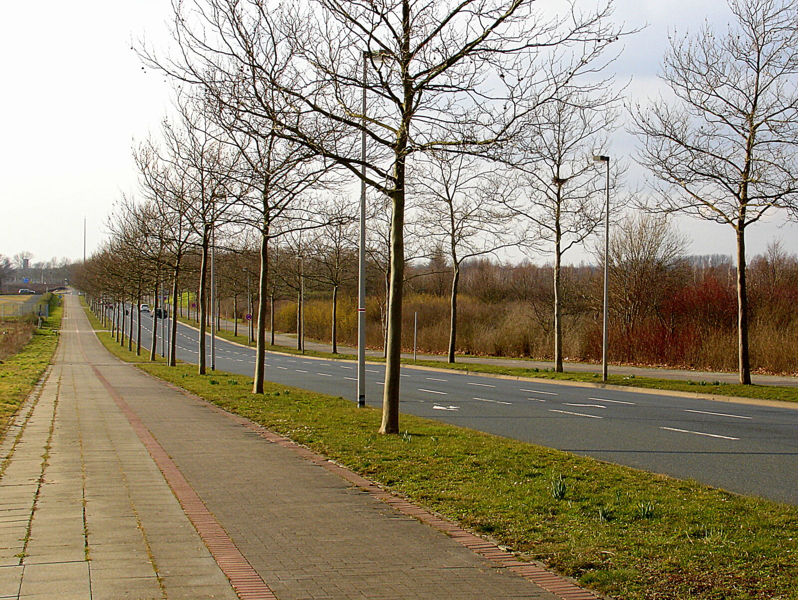 Sony DSC-V3 sample photo. Alley, calm, germany, green photography