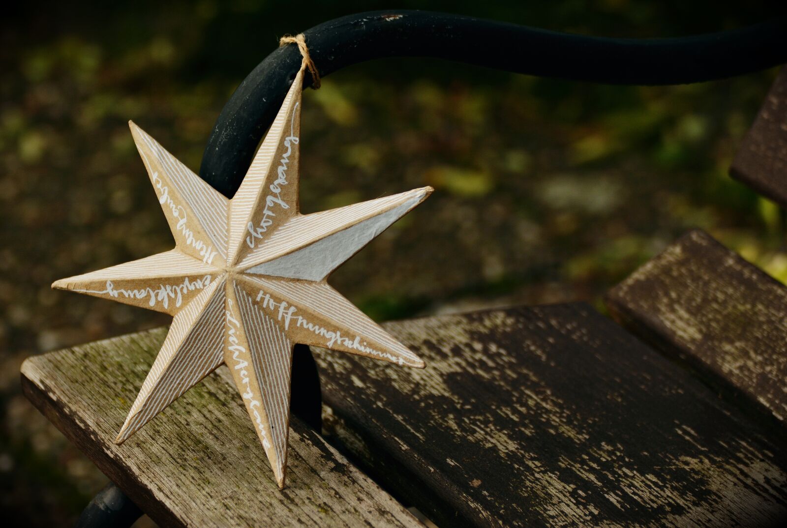 Nikon D5200 sample photo. Star, poinsettia, embassy photography