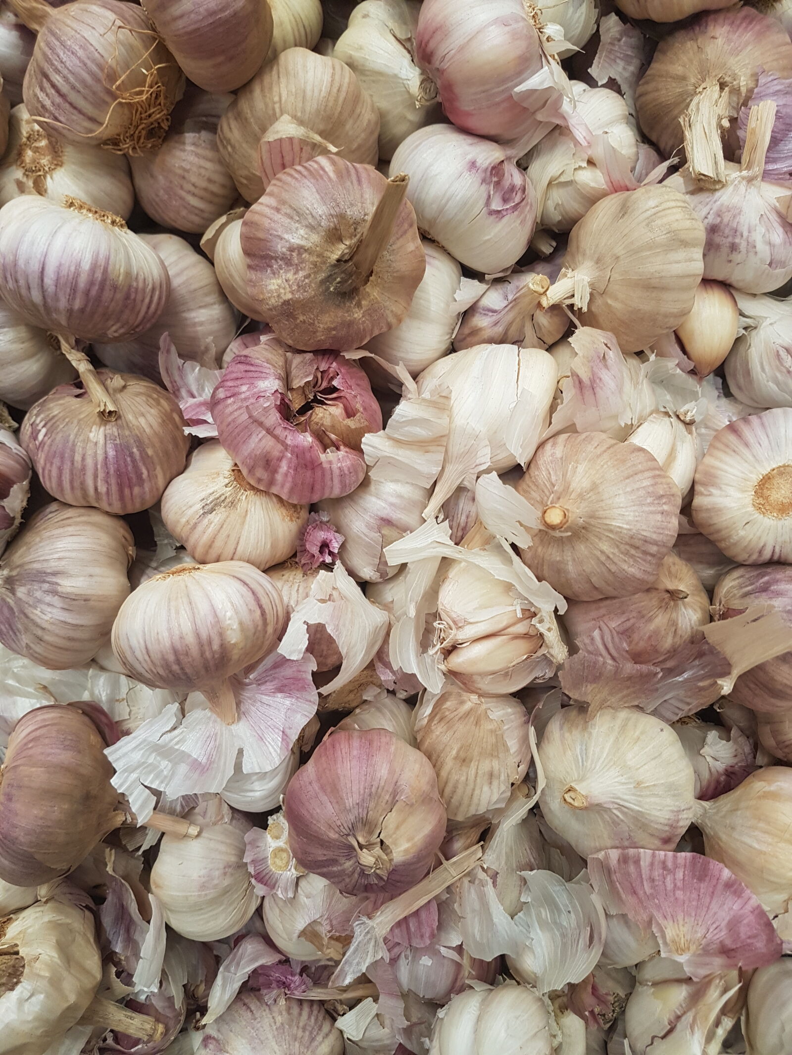 Samsung Galaxy S7 sample photo. Garlic photography
