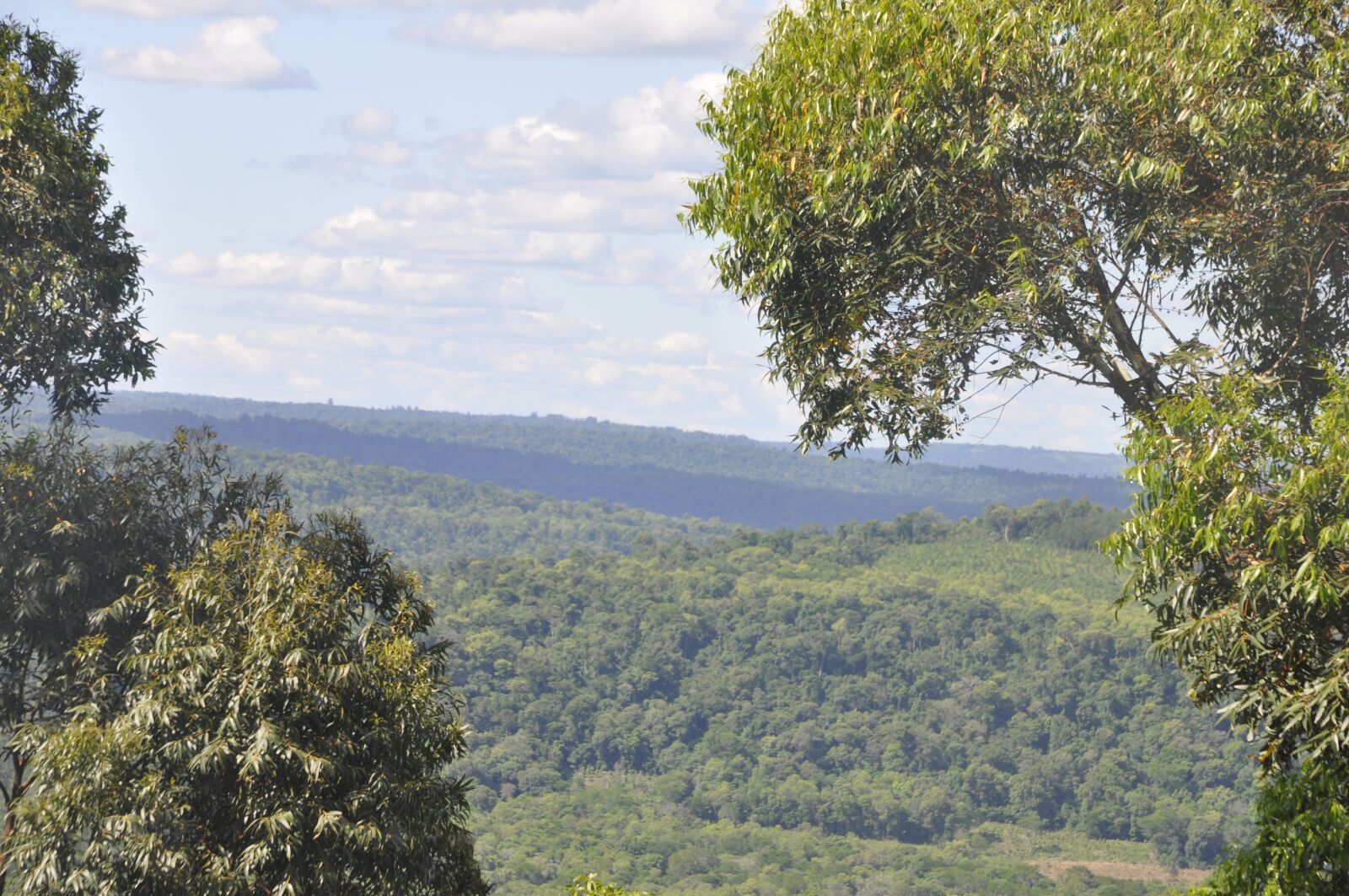 Nikon D90 sample photo. Misiones, argentina, alberdi photography