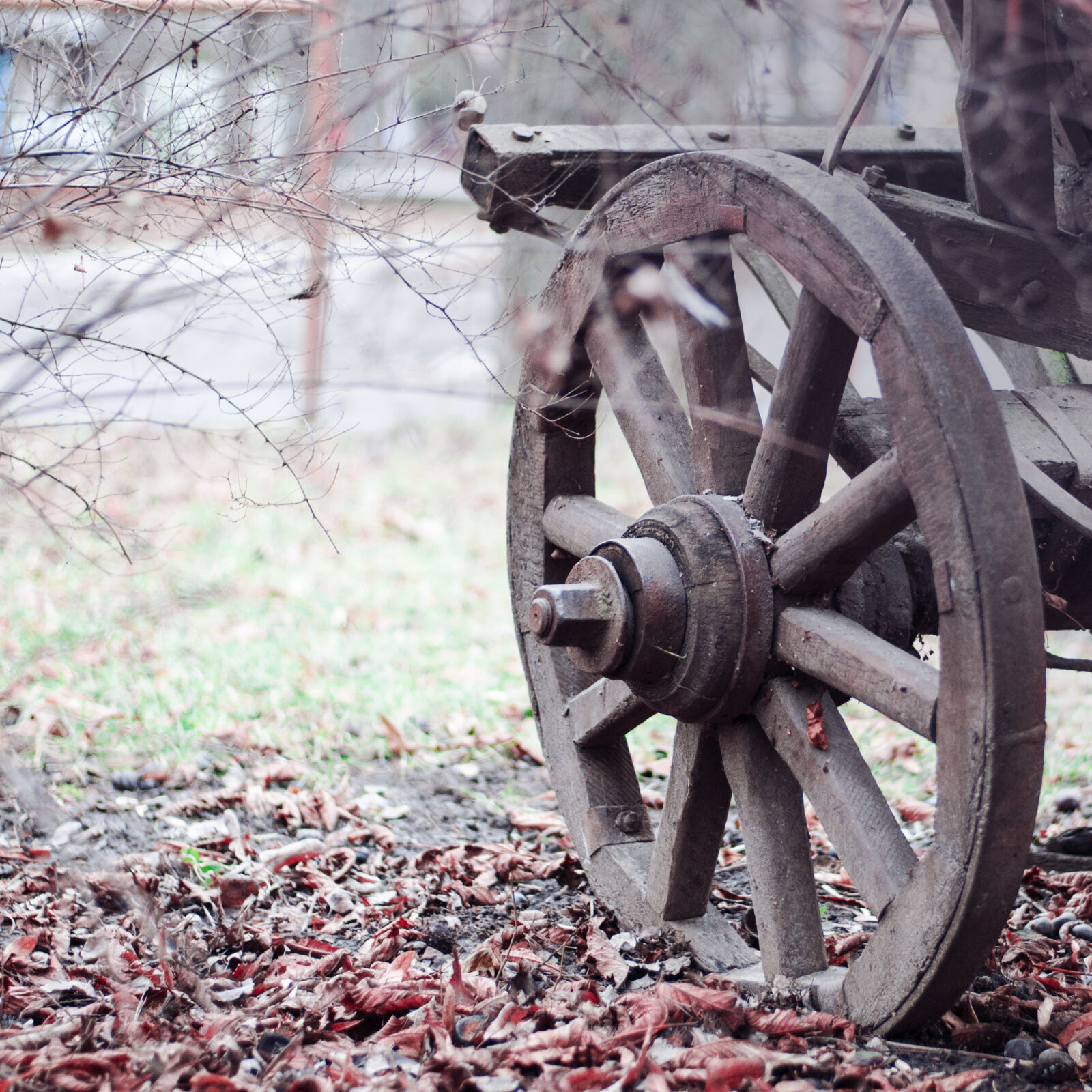 Nikon D90 + Nikon AF-S Nikkor 50mm F1.8G sample photo. Brown, wooden, wheel, on photography