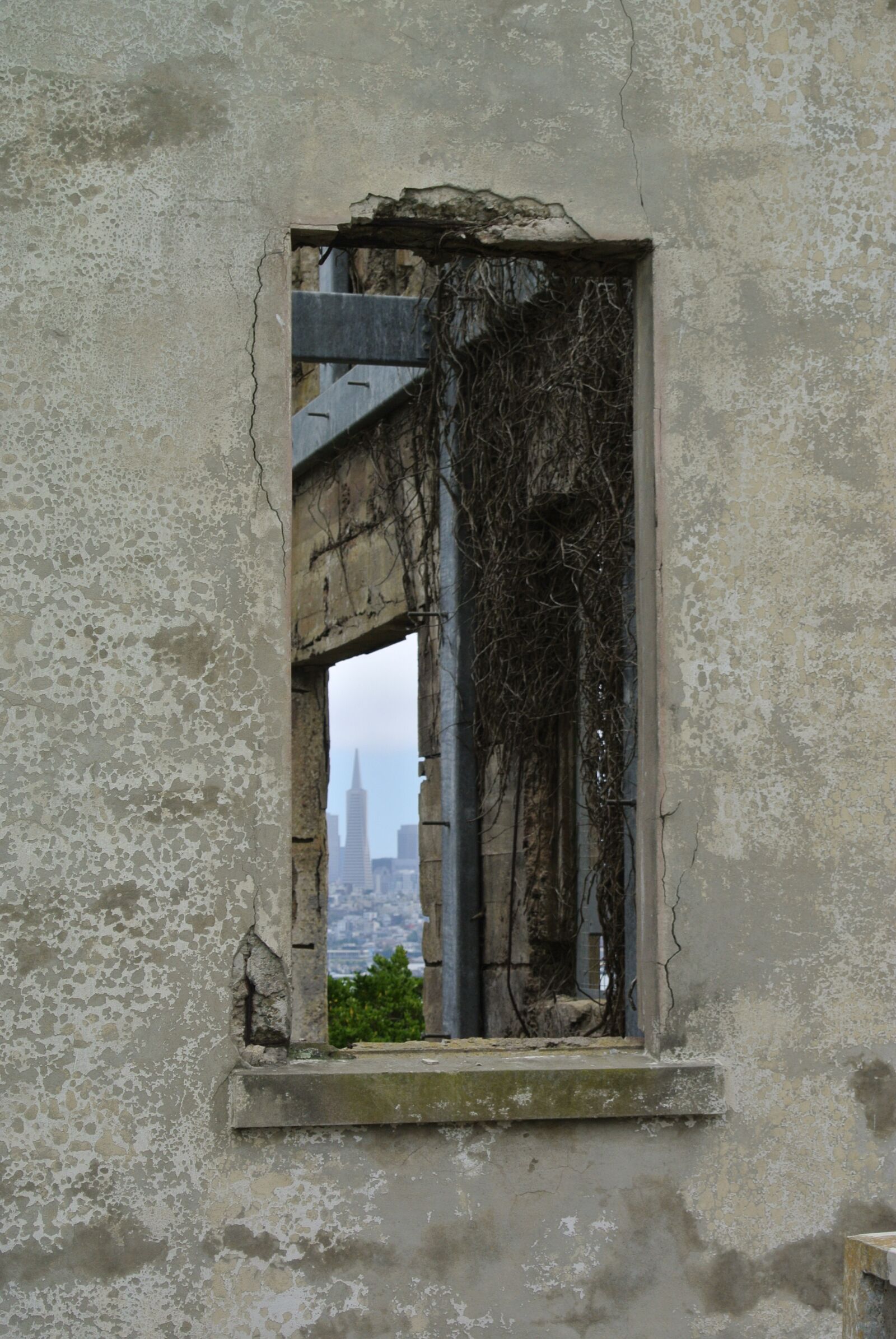 Nikon 1 J1 sample photo. Ruin, abandoned, lapsed photography