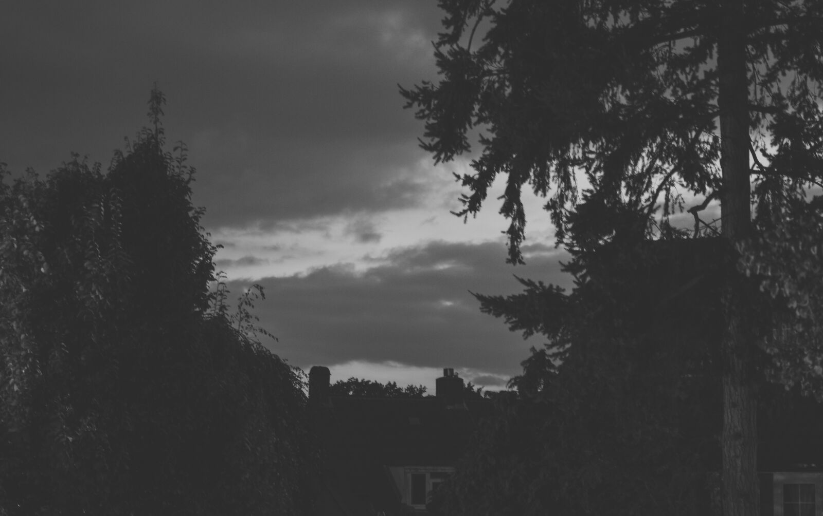 Nikon D3200 sample photo
