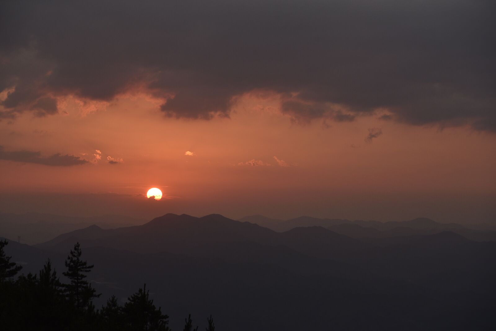 Nikon D750 sample photo. Sun, sunset, cloud photography