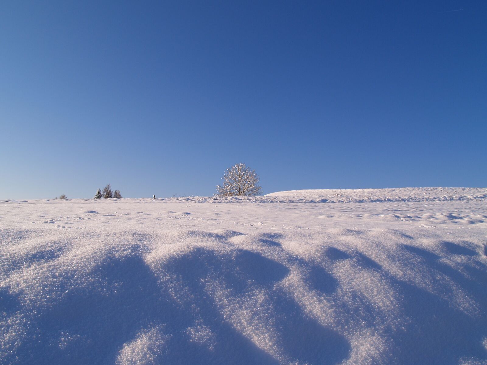 Olympus E-300 (EVOLT E-300) sample photo. Snow, winter, wintry photography