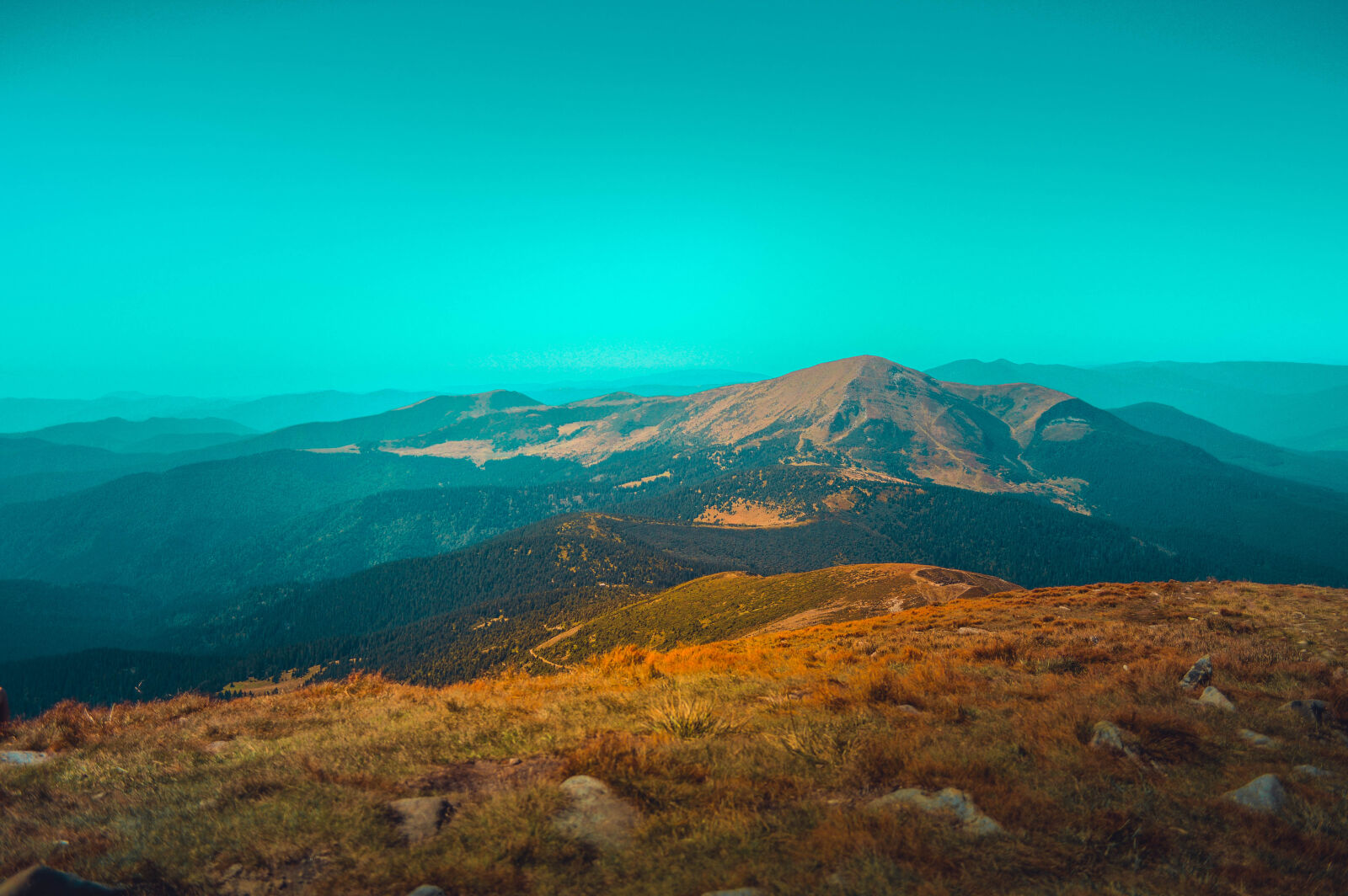 Nikon D3200 sample photo. Summer, hill, nature, mountains photography