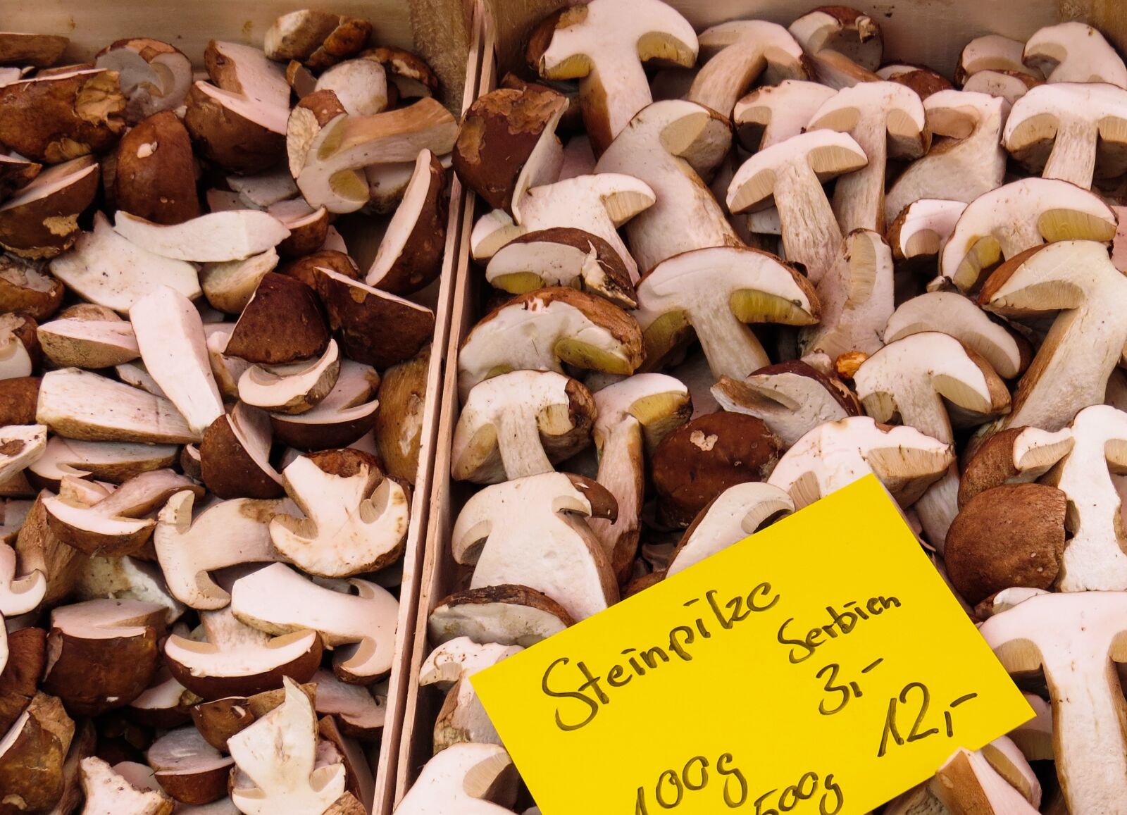 Canon PowerShot SX50 HS sample photo. Mushrooms, porcini mushrooms, food photography