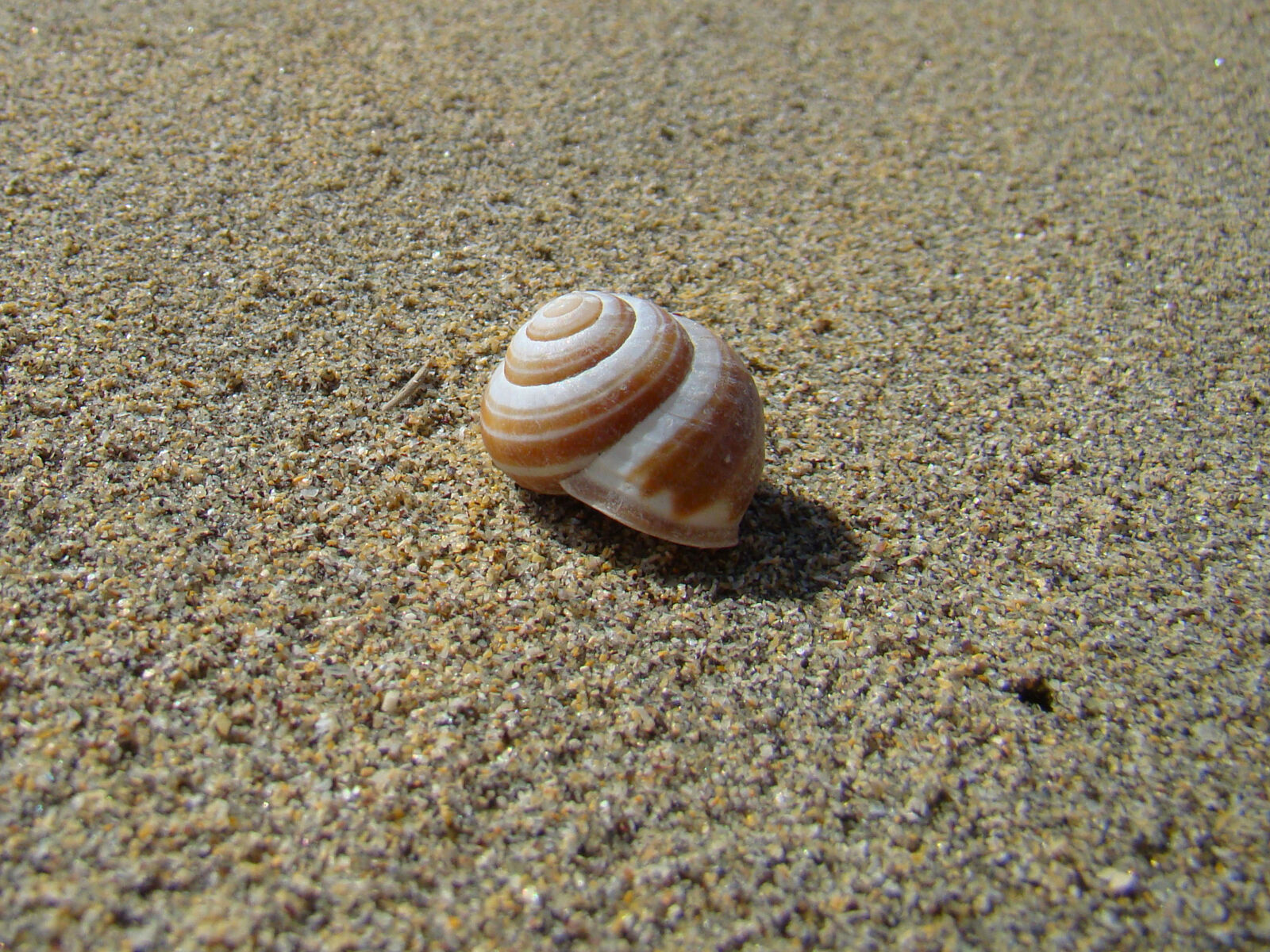 Sony Cyber-shot DSC-H50 sample photo. Beach, dunes, ireland, sand photography