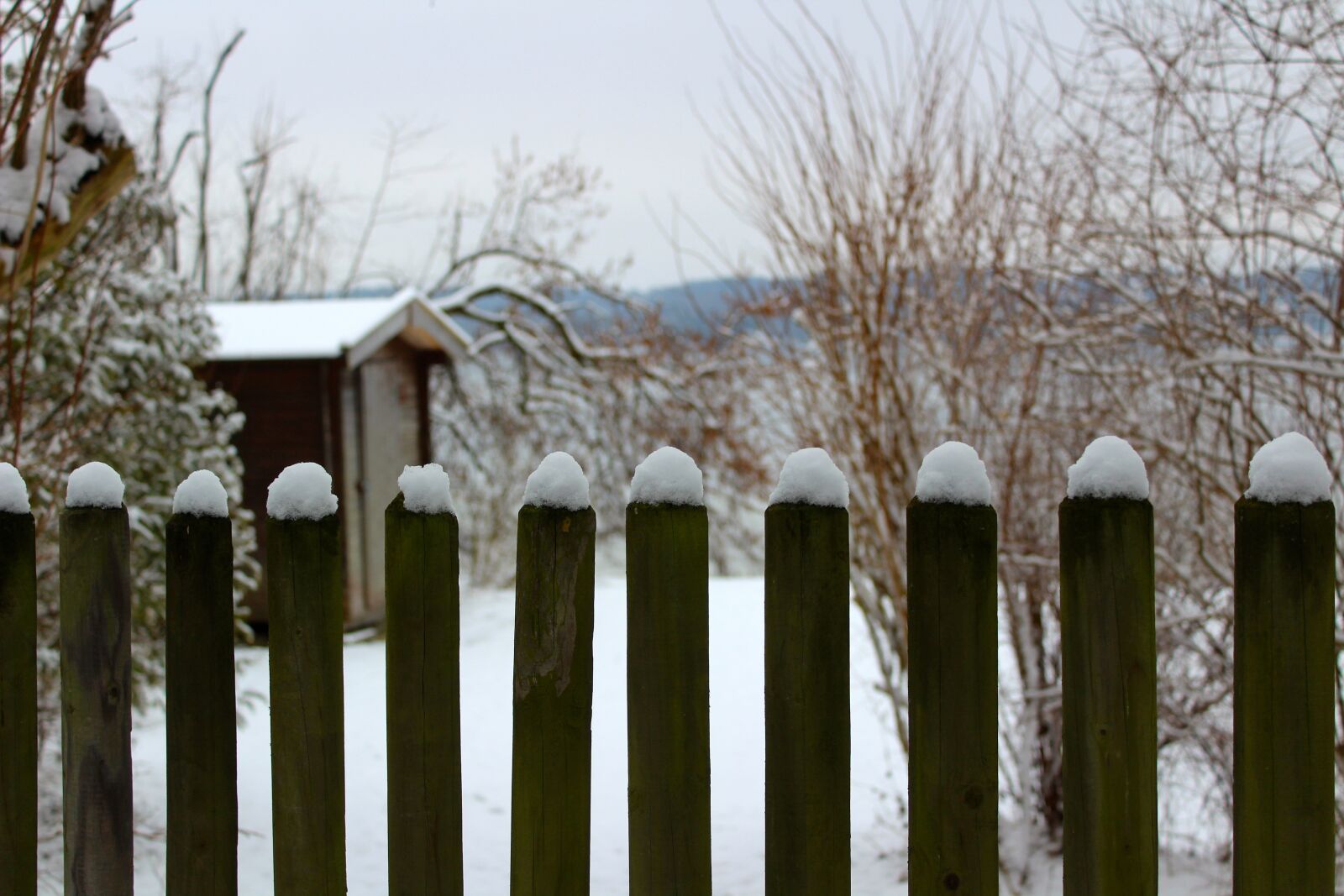 Canon EOS 1300D (EOS Rebel T6 / EOS Kiss X80) sample photo. Winter, snow, landscape photography