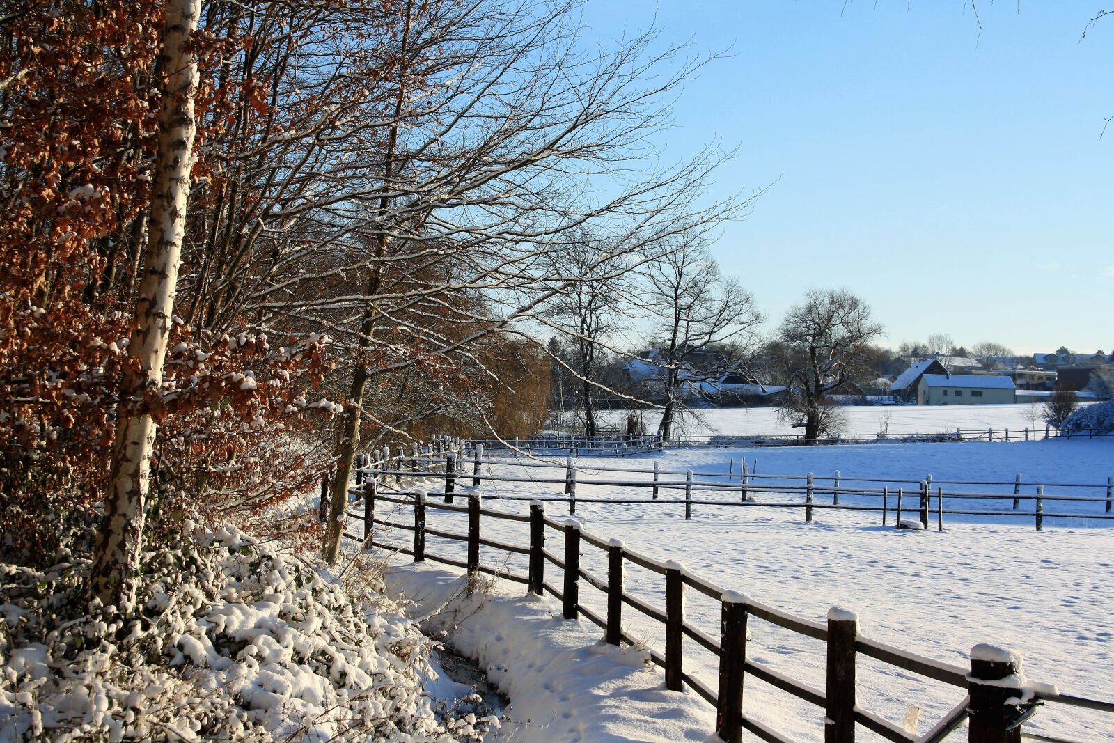 Canon EOS 1000D (EOS Digital Rebel XS / EOS Kiss F) sample photo. Snow landscape, wintry, cold photography