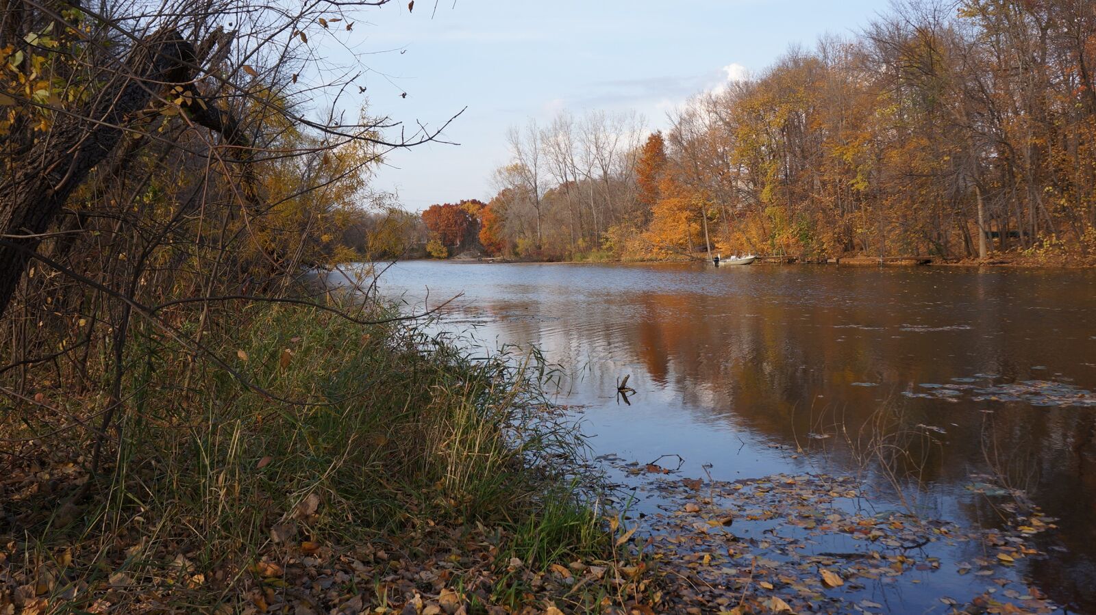Sony Alpha NEX-5N sample photo. Fall, three rivers park photography