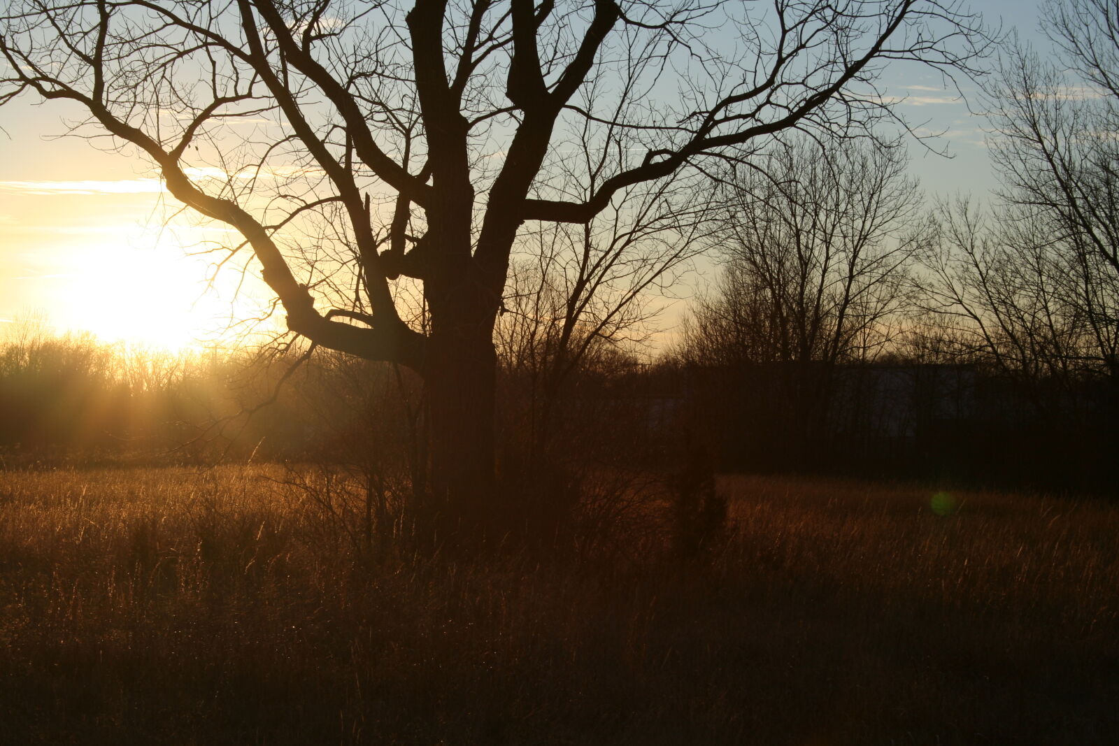 Canon EOS 350D (EOS Digital Rebel XT / EOS Kiss Digital N) sample photo. Fall, sunset photography