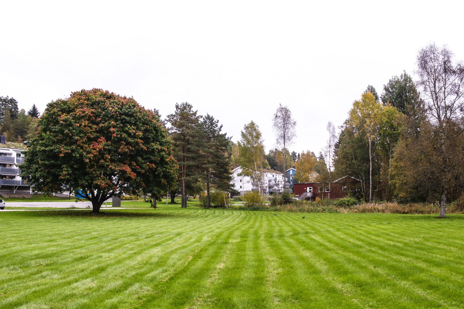 Canon EOS 7D Mark II sample photo. Landscape, autumn, fall photography