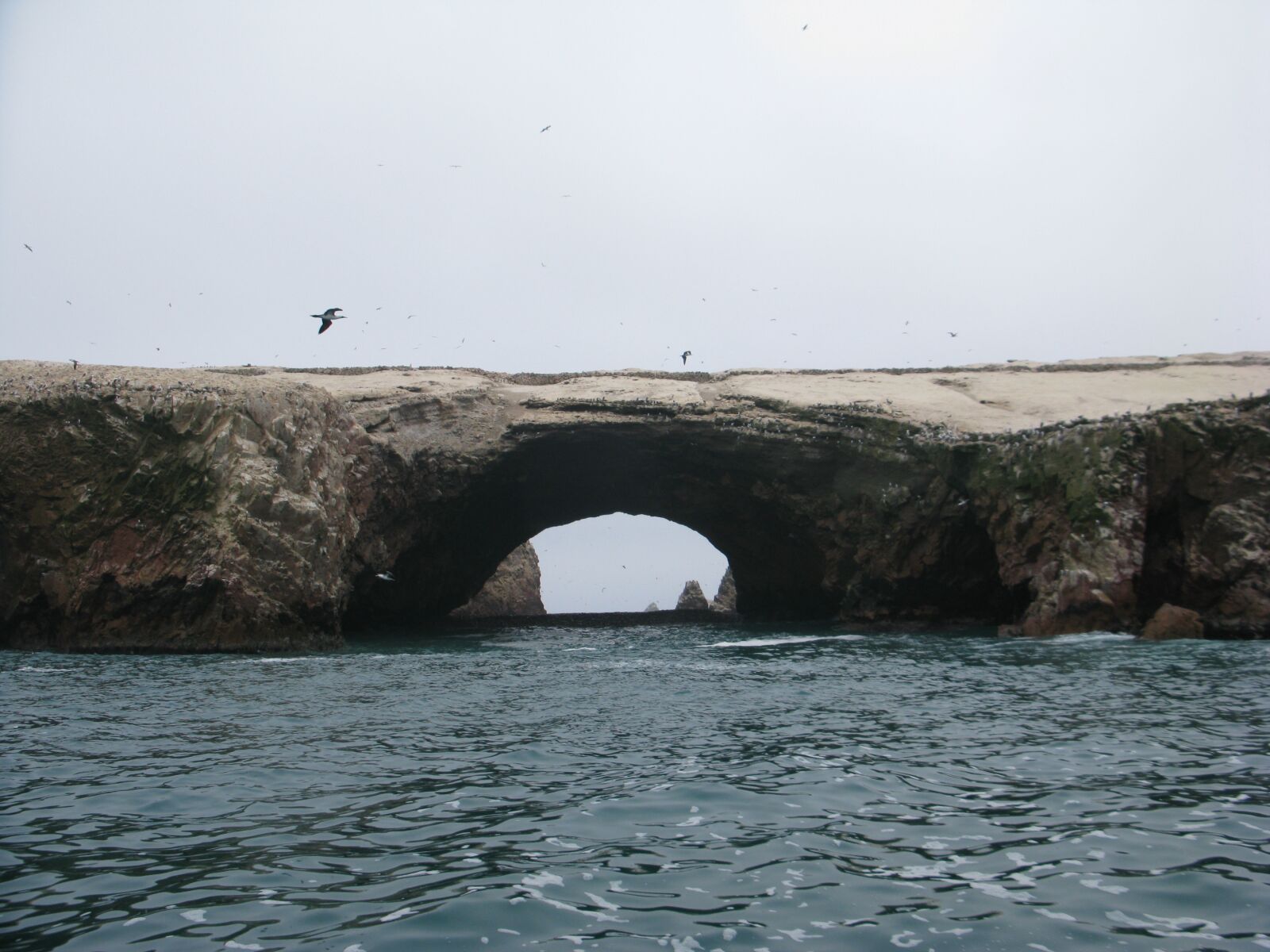 Canon POWERSHOT G9 sample photo. Paracas, pisco, peru photography