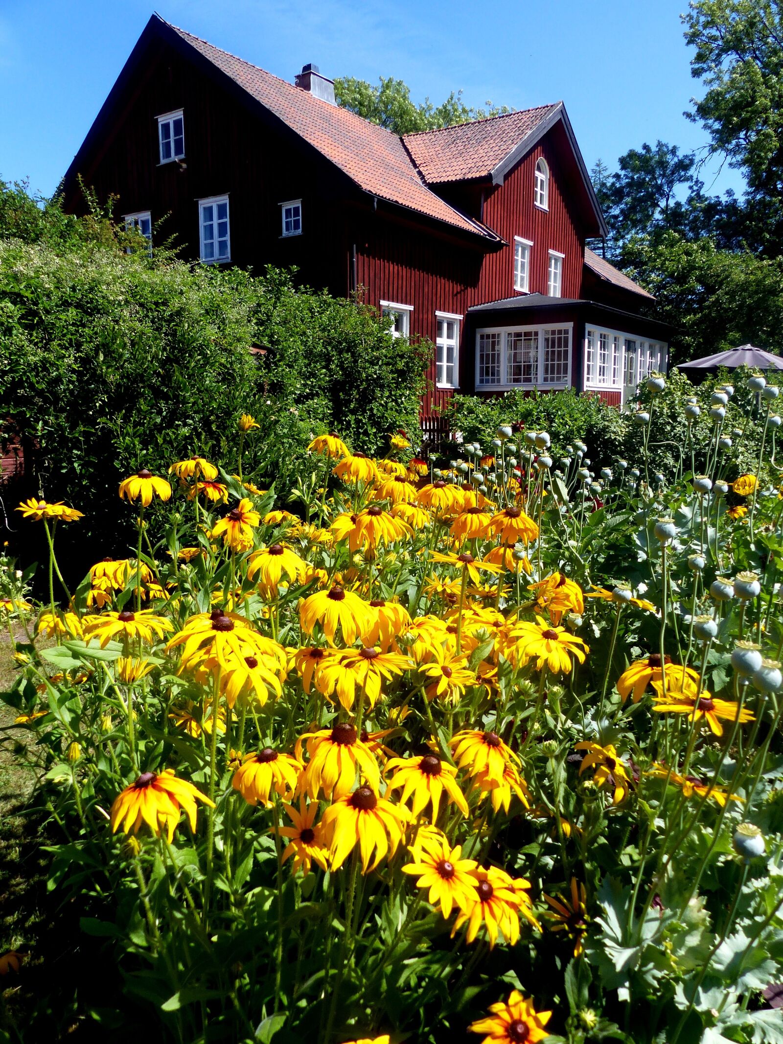Panasonic Lumix DMC-FZ200 sample photo. Garden, house, himmel photography