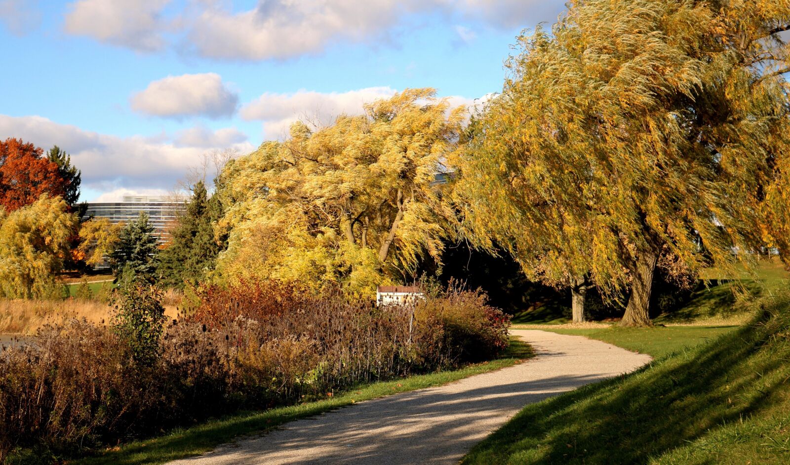 Canon EOS 750D (EOS Rebel T6i / EOS Kiss X8i) sample photo. Lake, nature, landscape photography