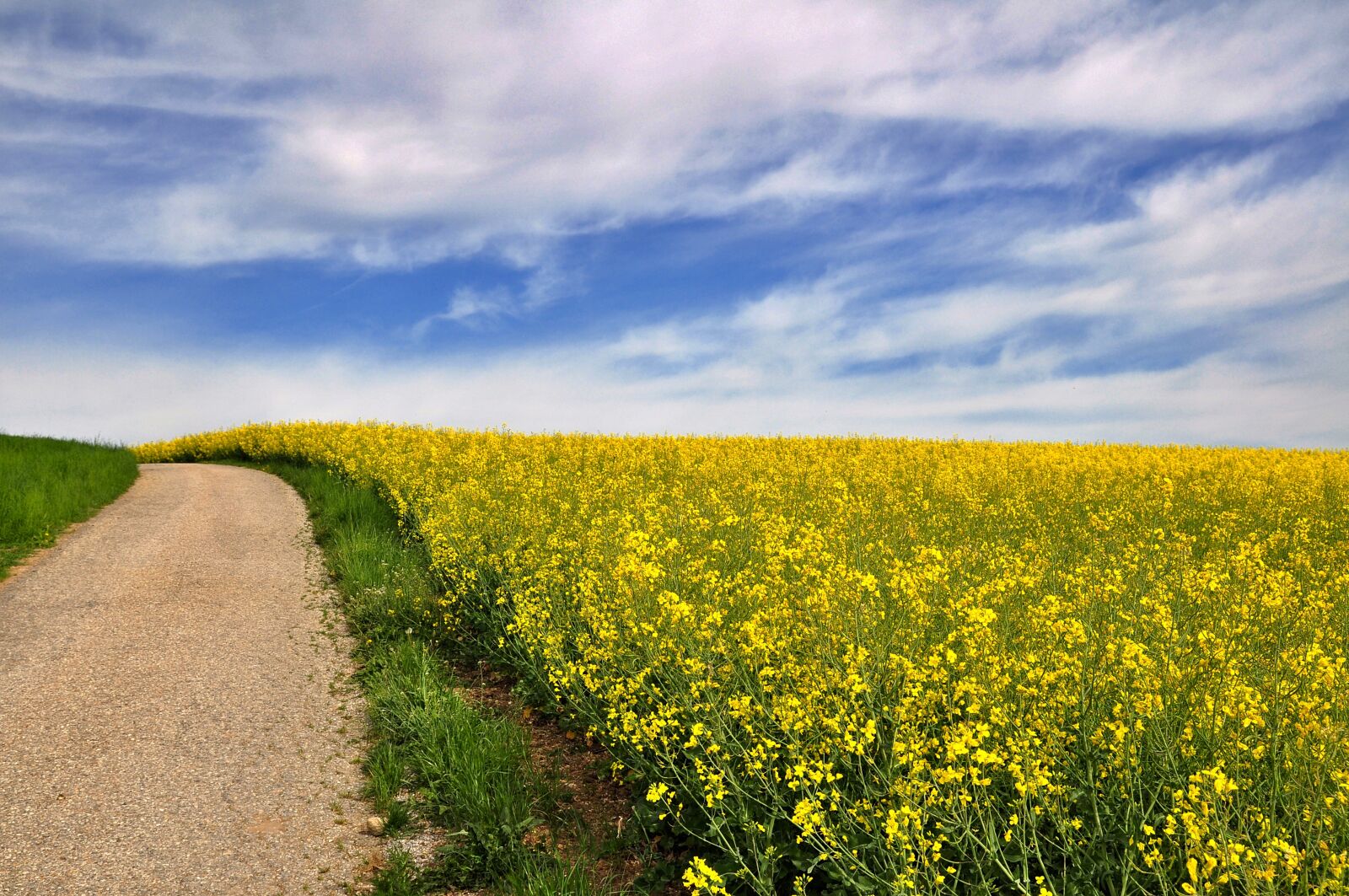 Nikon D90 sample photo. Nature, landscape, spring photography
