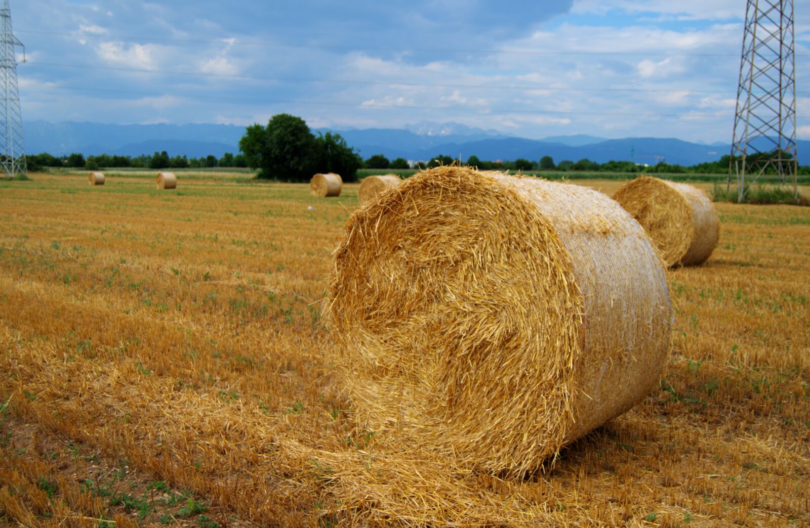 Nikon D5100 sample photo. Bales, hay, agriculture photography