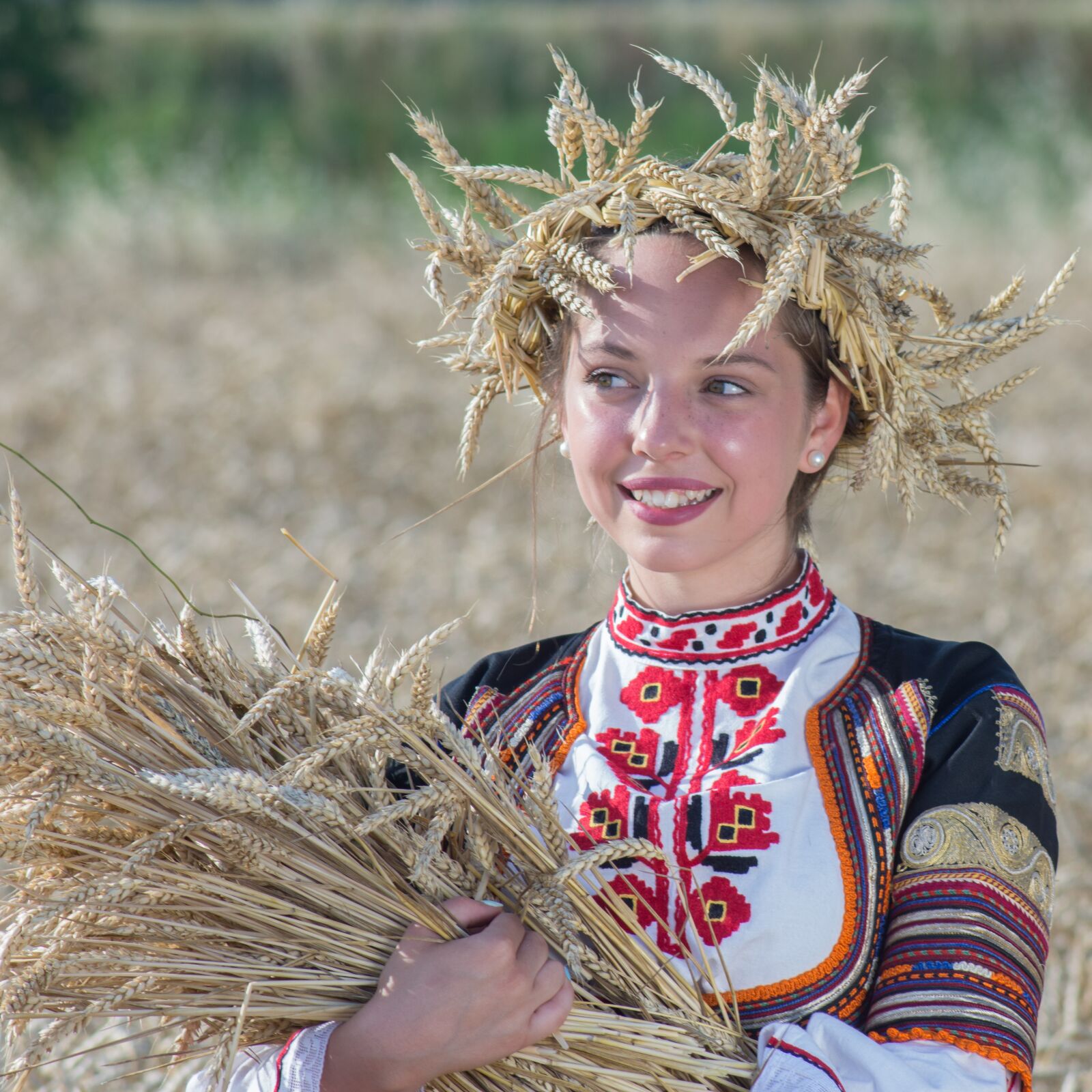 Nikon D7200 sample photo. Harvest, summer, nature photography