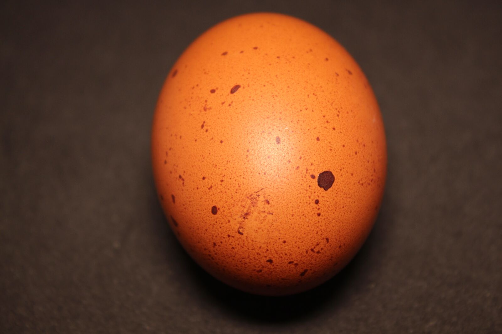 Canon EOS 700D (EOS Rebel T5i / EOS Kiss X7i) sample photo. Egg, brown, food photography
