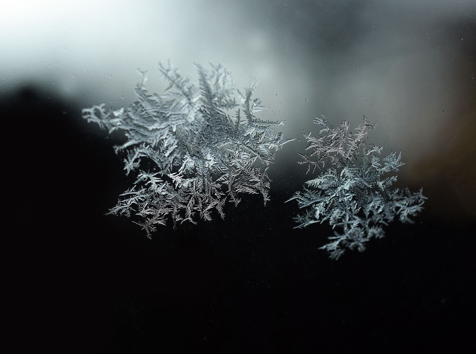 Nikon D810 sample photo. Crystal, ice, flake photography