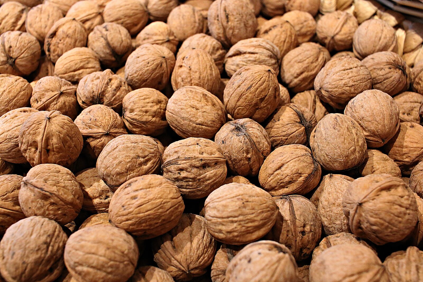 Canon EOS 70D + Canon EF-S 24mm F2.8 STM sample photo. Walnuts, russians, nuts photography