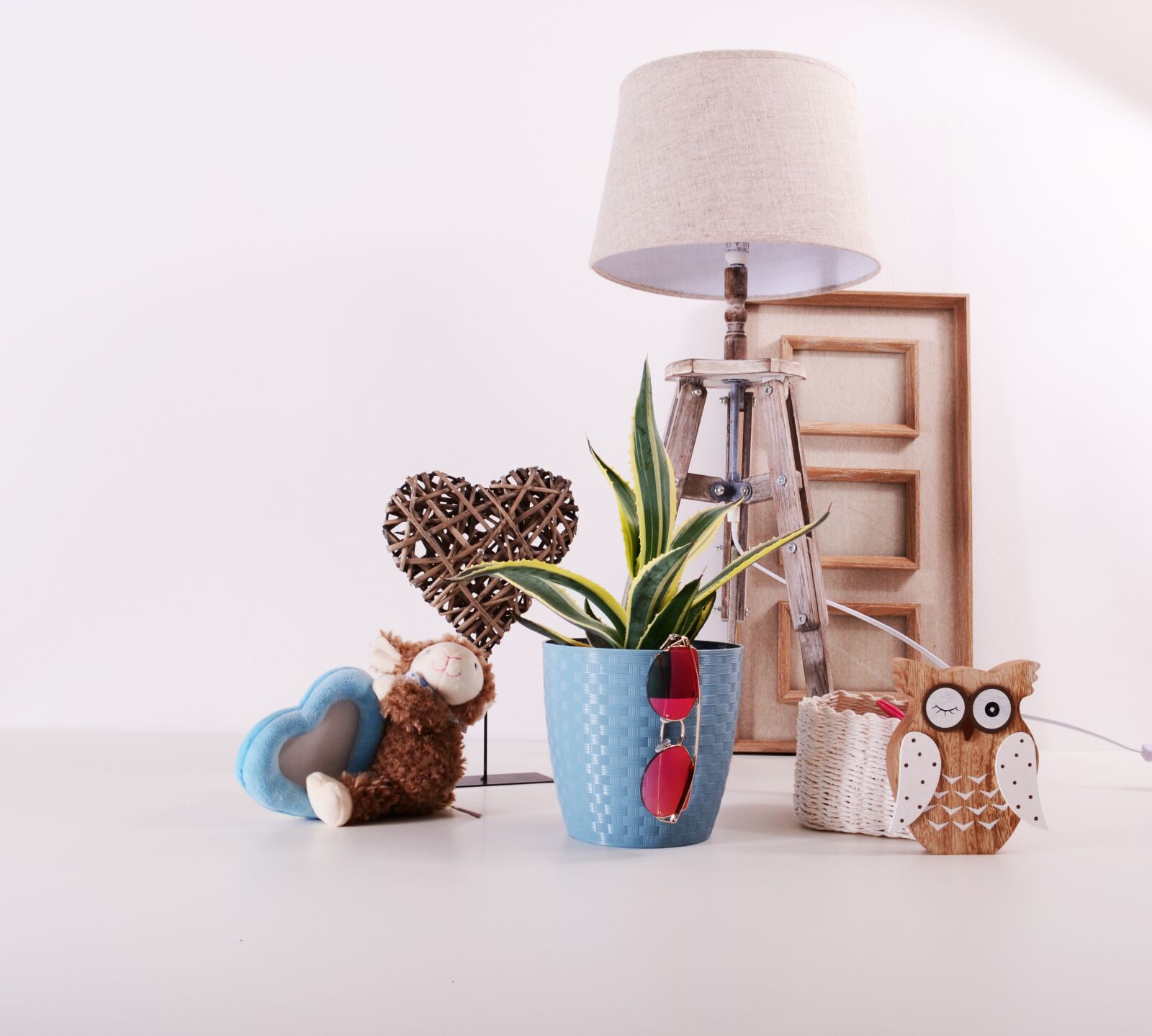 Nikon D3100 sample photo. Plants, flowerpots, green photography