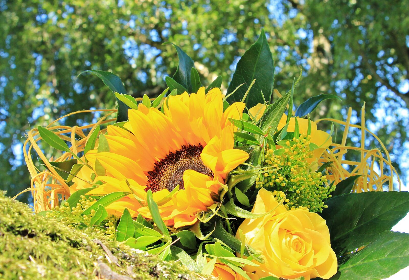 Canon EOS 550D (EOS Rebel T2i / EOS Kiss X4) sample photo. Bouquet, bouquet flowers, roses photography