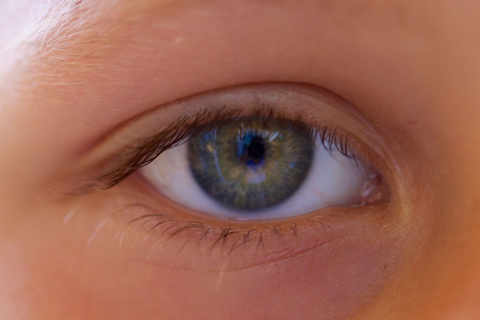 Canon EF 100mm F2.8L Macro IS USM sample photo. Eye, child, children photography