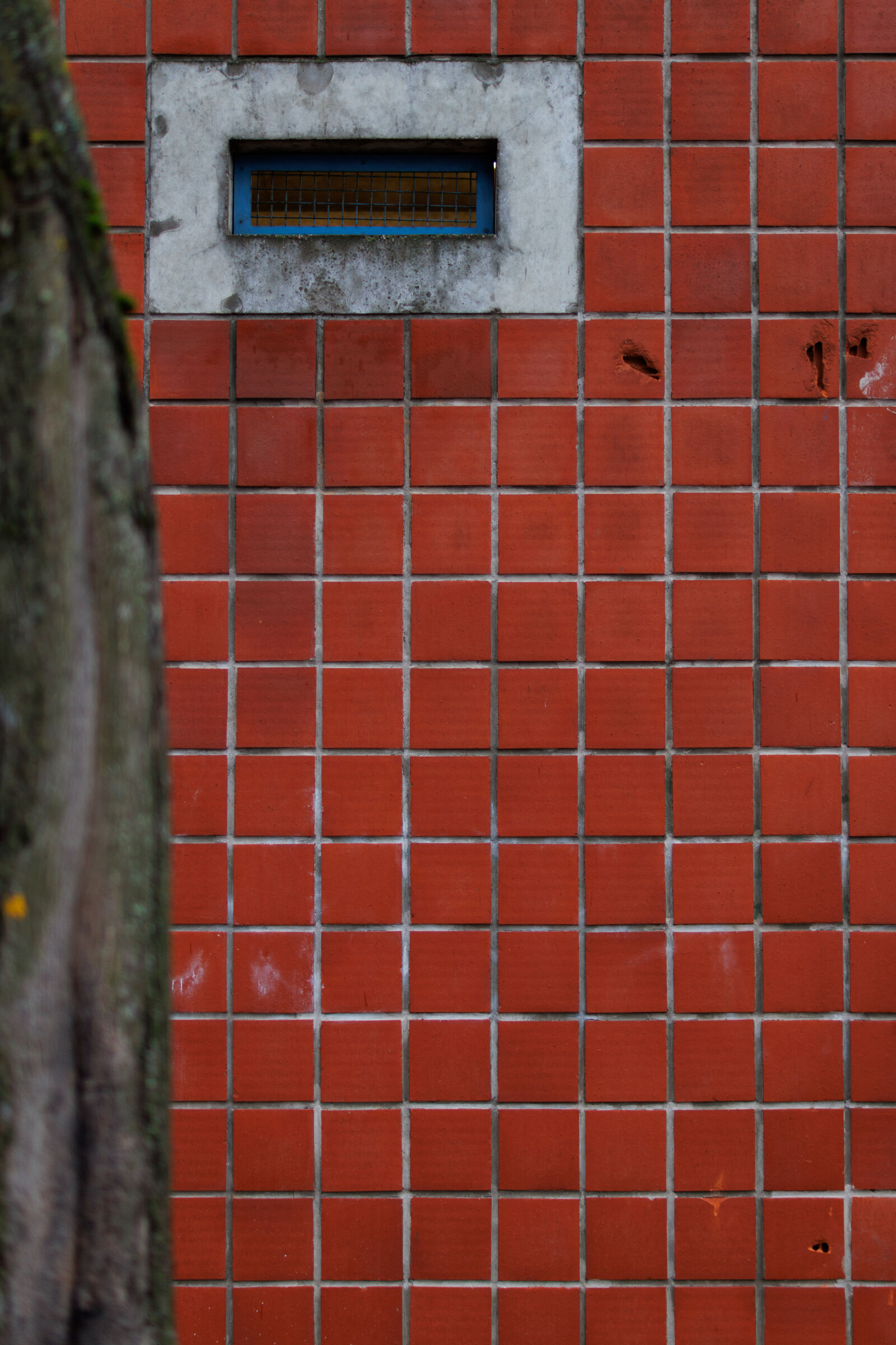 Canon EOS R7 sample photo. Brickwall wall photography