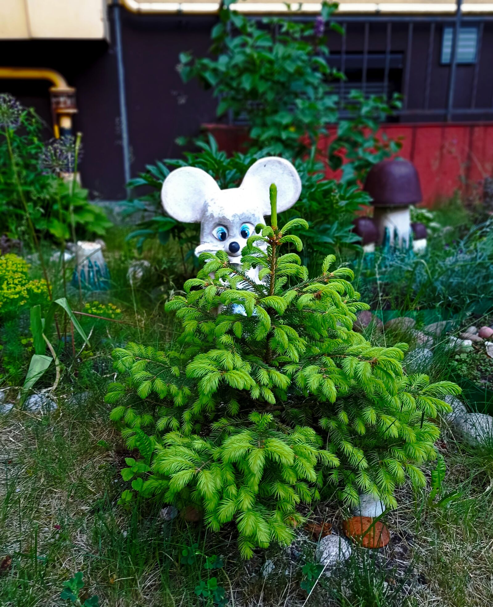 Xiaomi Redmi Note 8 Pro sample photo. Yard, action figures, landscape photography
