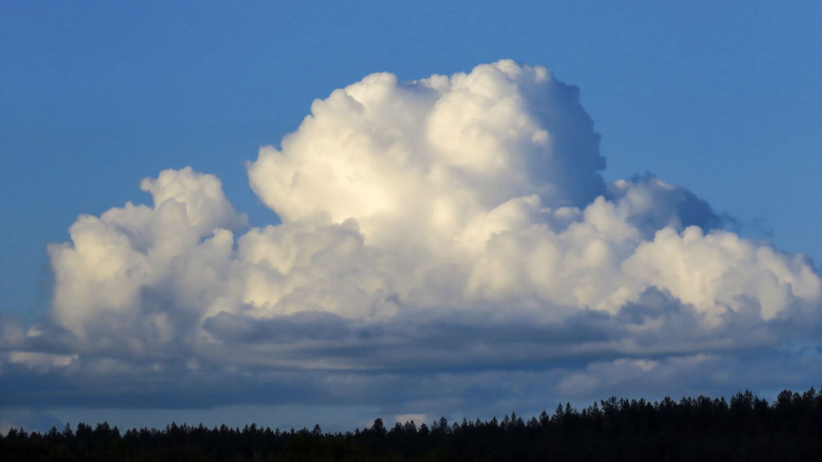 Canon PowerShot SX60 HS sample photo. Cloud, sky, cumulus clouds photography
