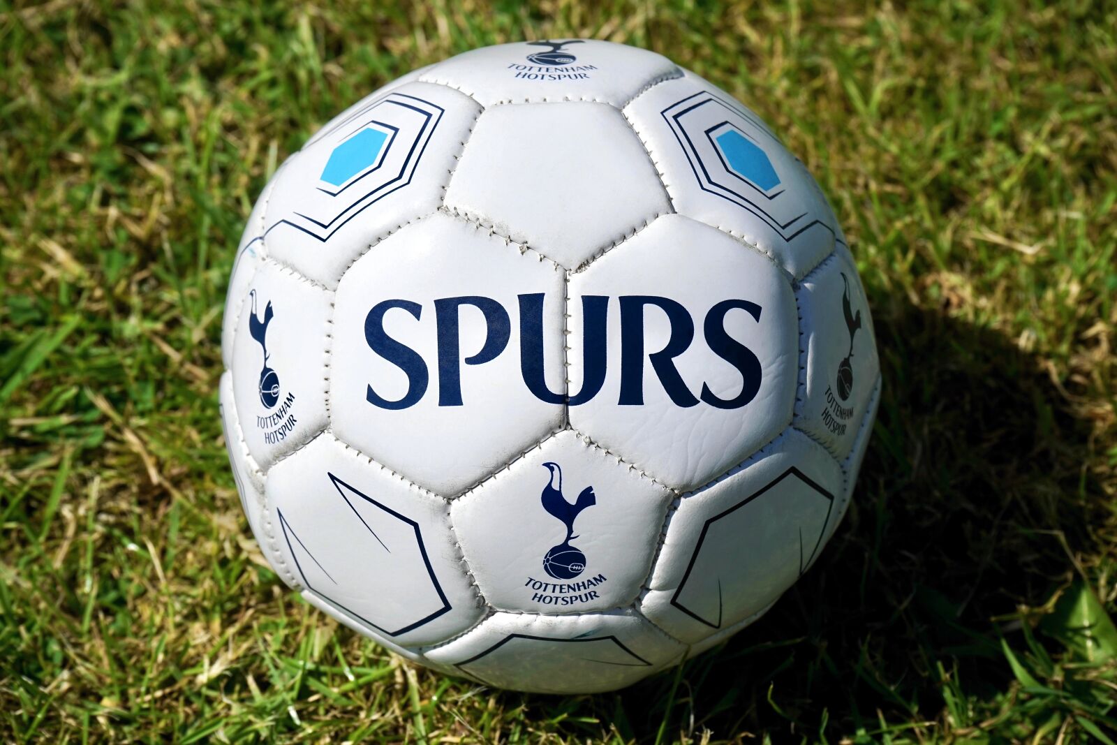 Sony a7 sample photo. Football, spurs, soccer photography