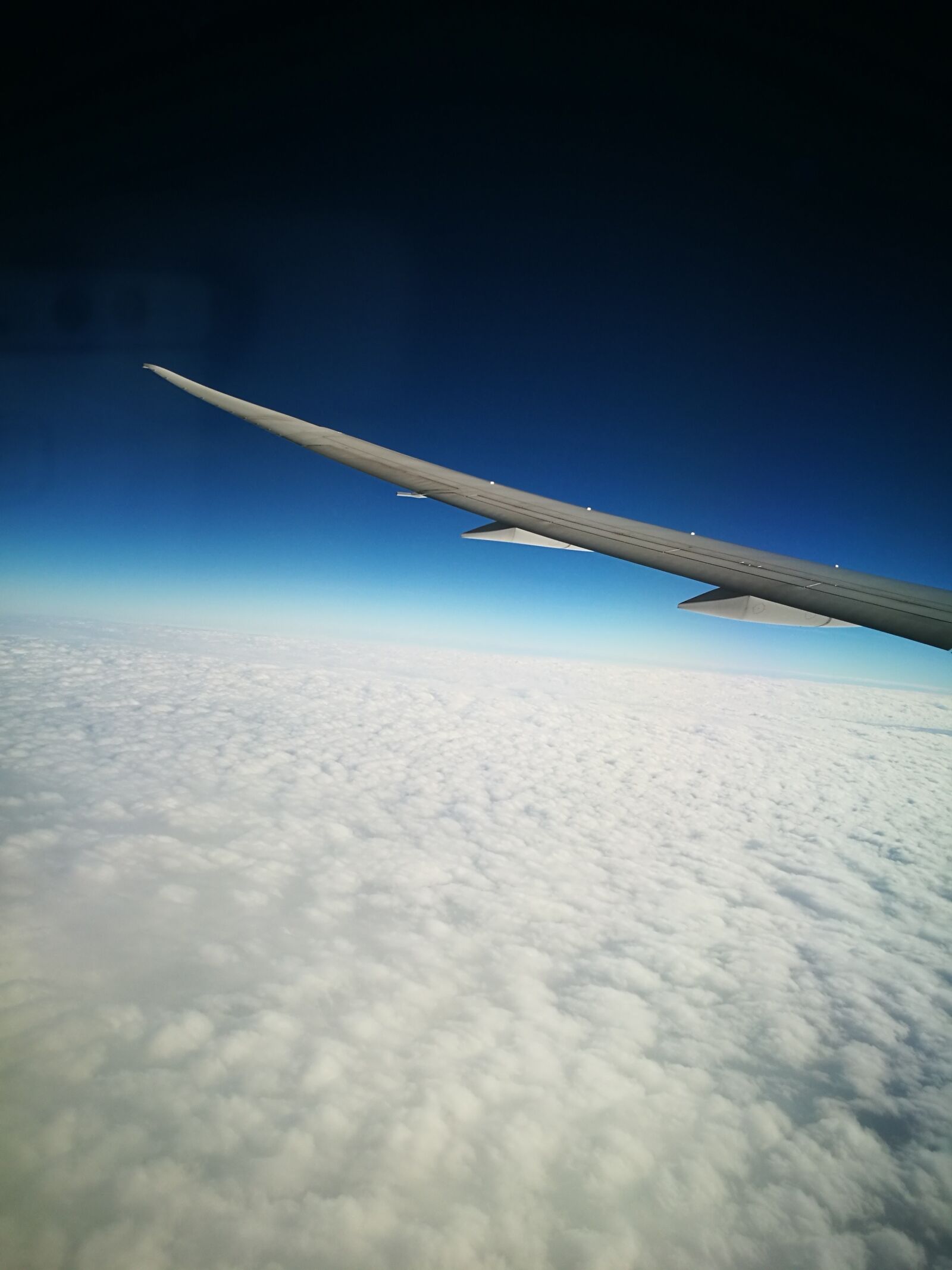 HUAWEI P9 sample photo. Wing, air, sky photography