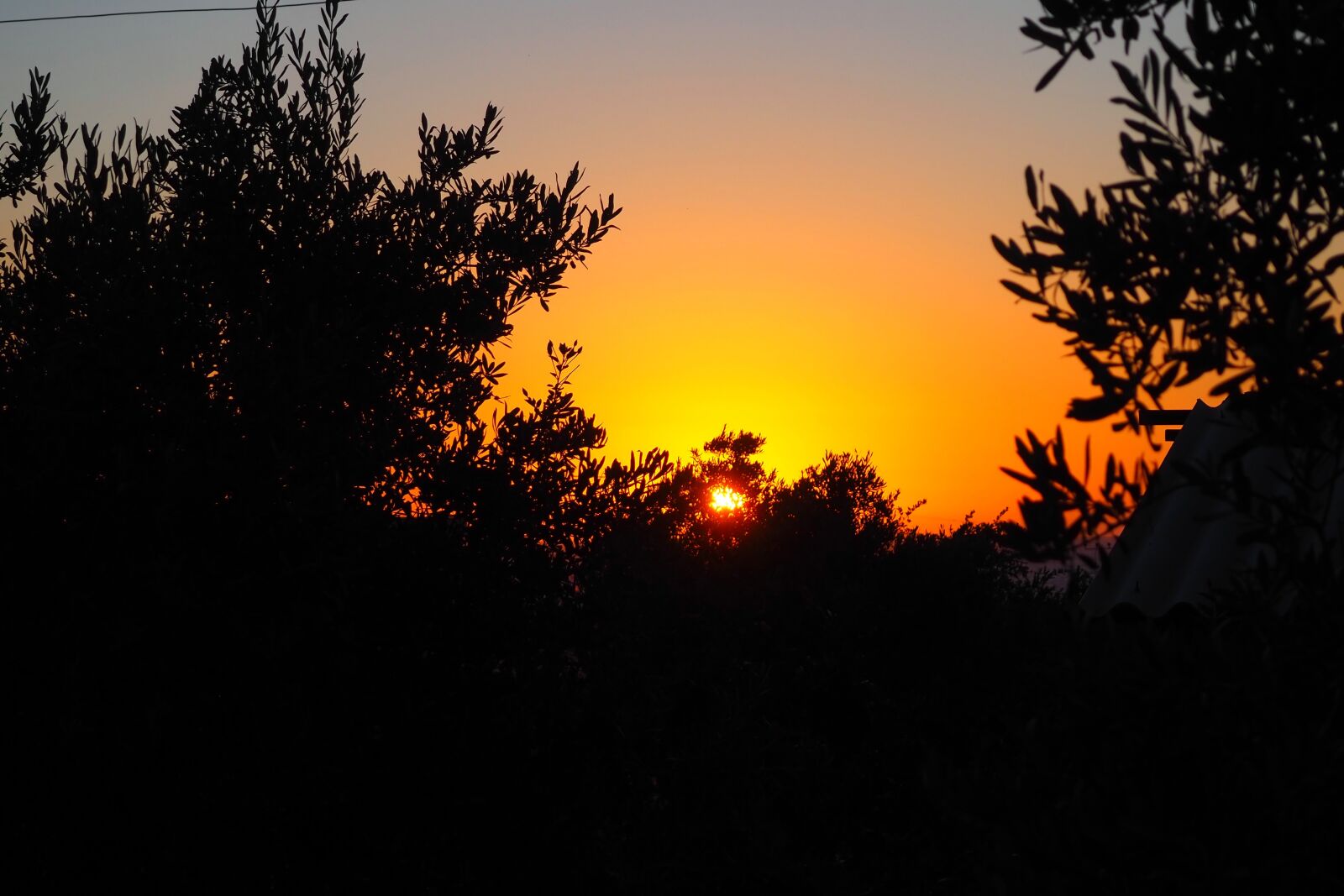 Olympus OM-D E-M10 III sample photo. See, sunset, night photography