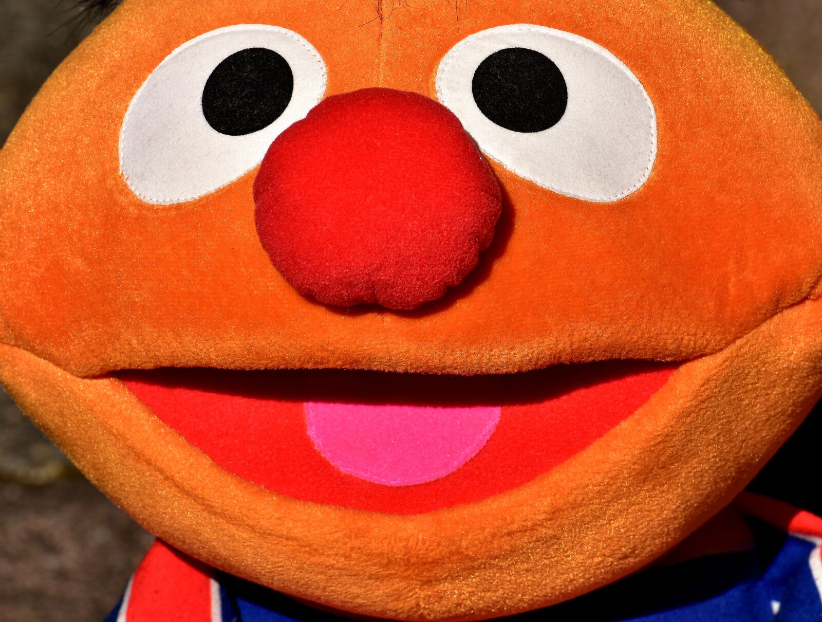 Nikon D7200 sample photo. Ernie, plush, funny photography