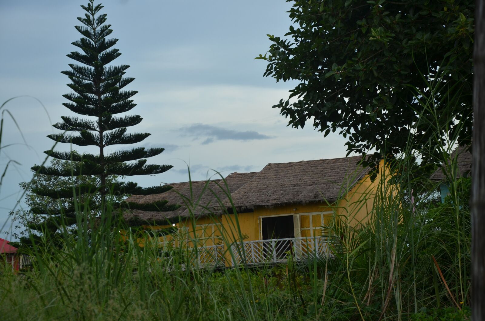 Nikon D5100 sample photo. Nature, house, sky photography