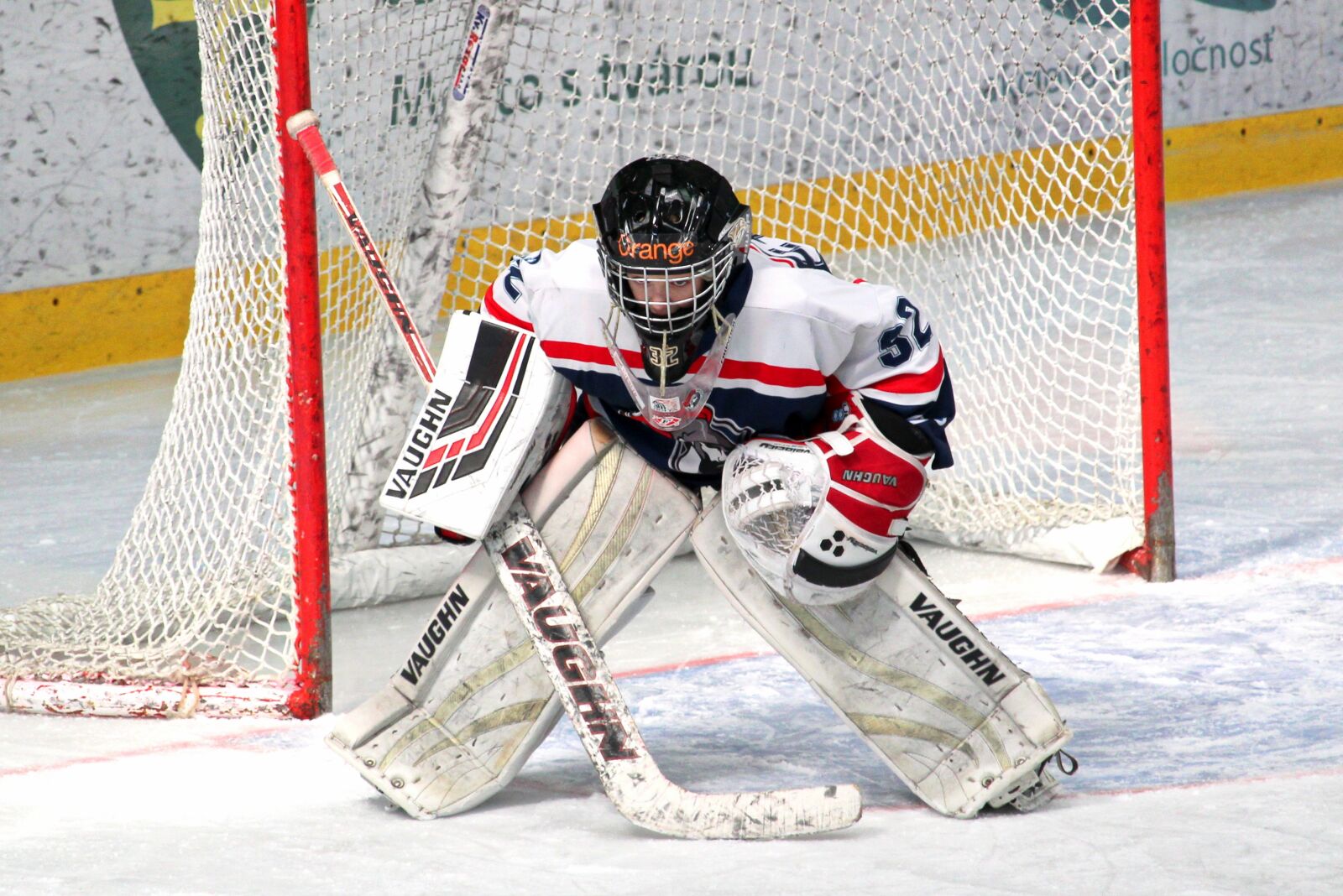 Canon EF-S 55-250mm F4-5.6 IS STM sample photo. Hockey, goalkeeper, buly photography