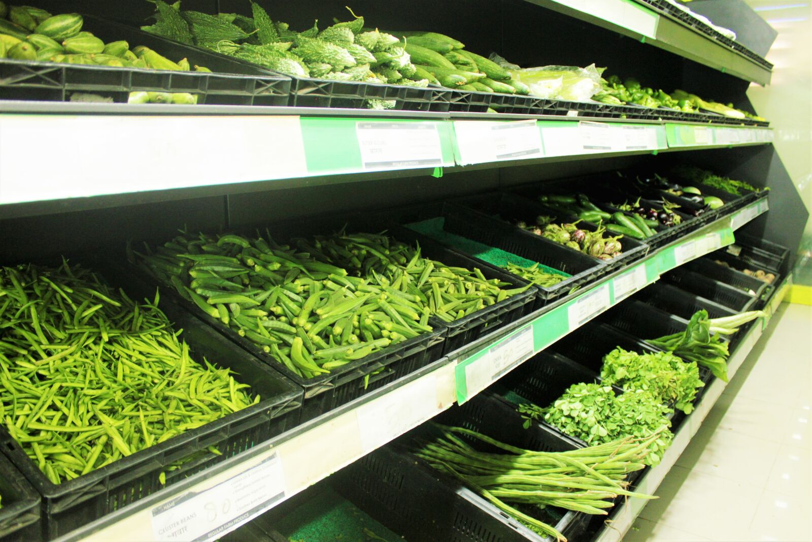 Canon EOS 550D (EOS Rebel T2i / EOS Kiss X4) sample photo. Vegetables, leafy express, india photography