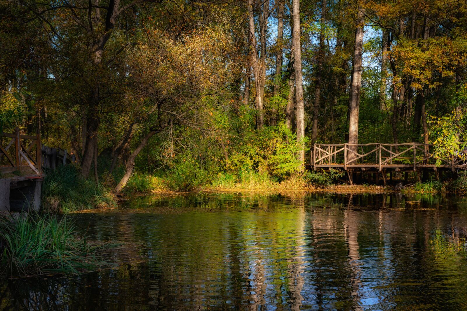 Nikon D7100 sample photo. Autumn, pond, nature photography
