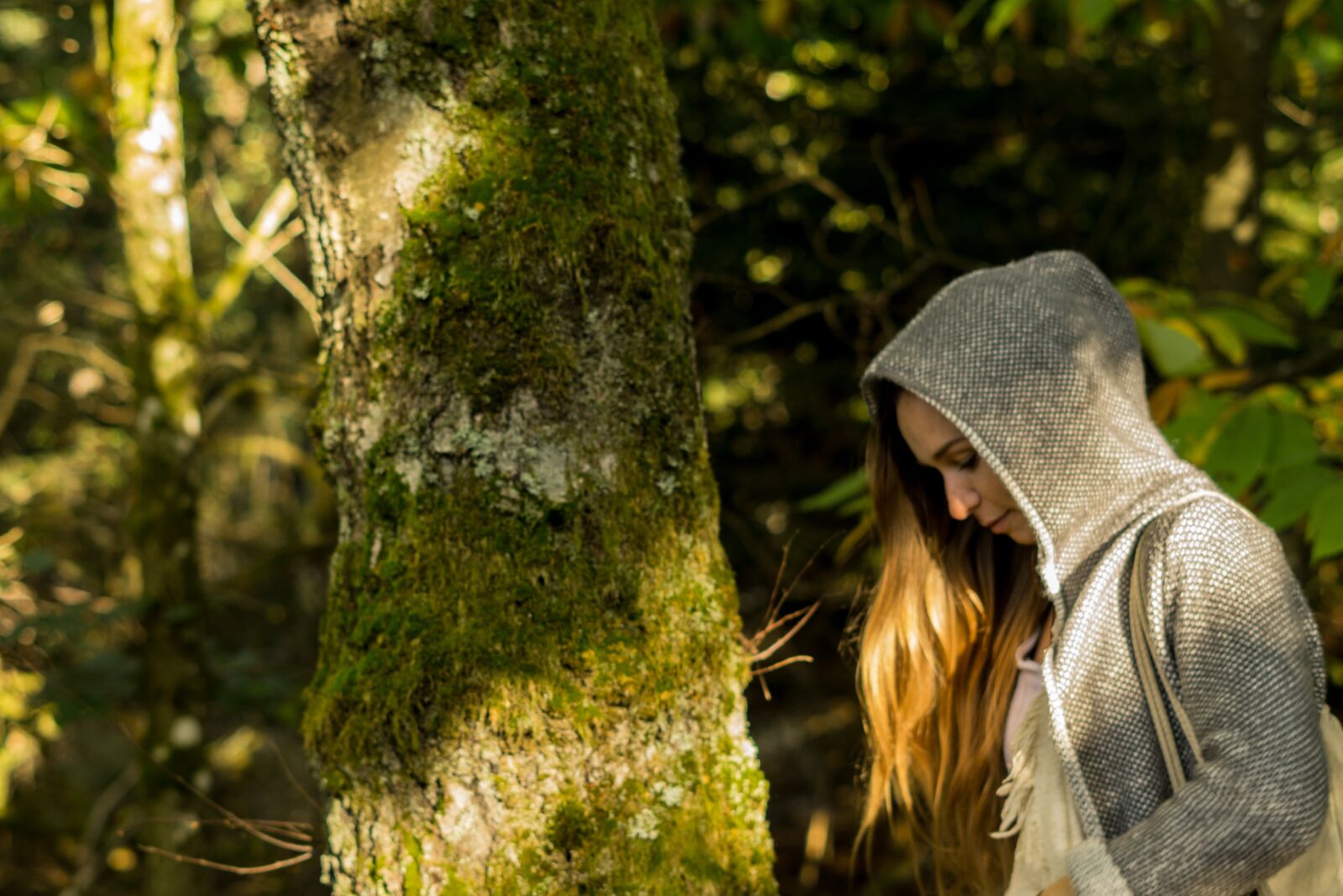 Sony FE 50mm F1.8 sample photo. Wood, tree, nature photography