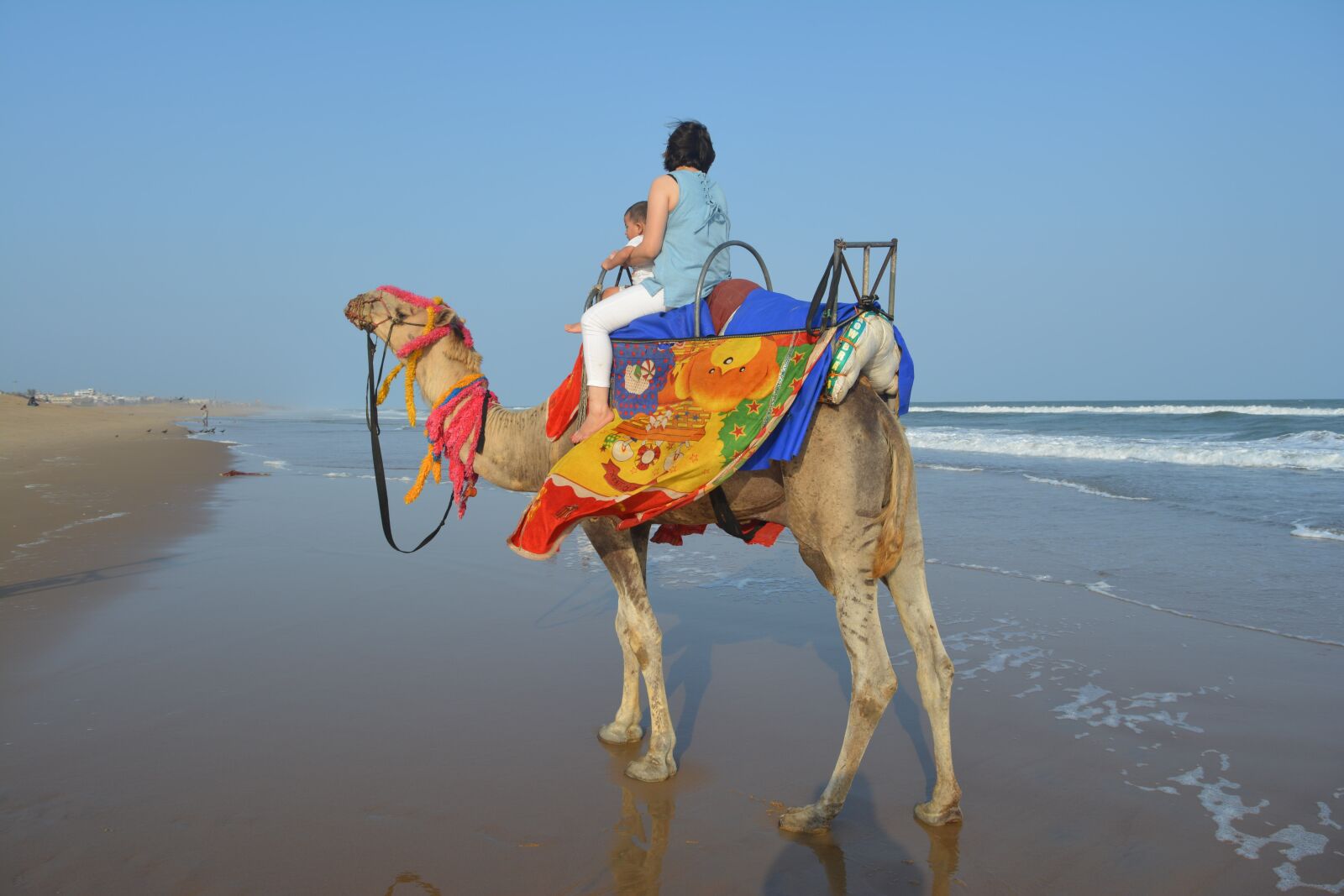 Nikon D5200 sample photo. Camel, camel at the photography
