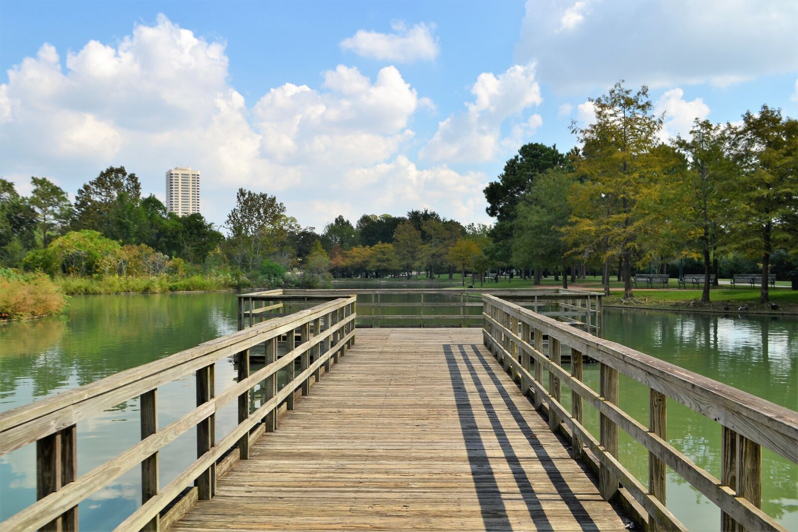 Nikon D3100 sample photo. Herman national park, boardwalk photography