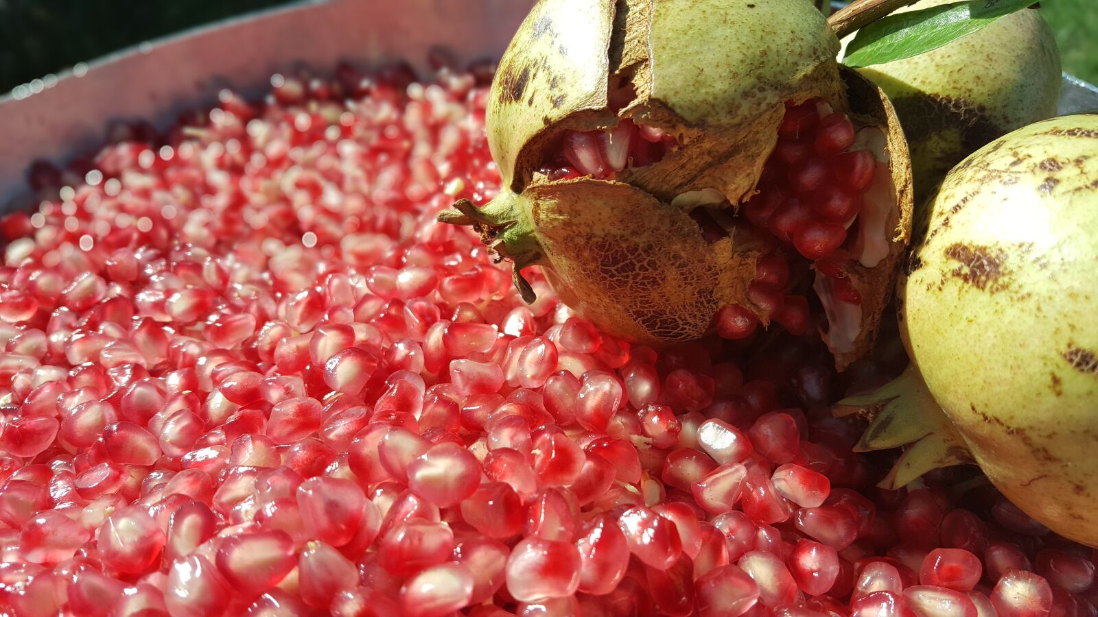 Samsung Galaxy Note5 sample photo. Pomegranate, fruit, bio photography