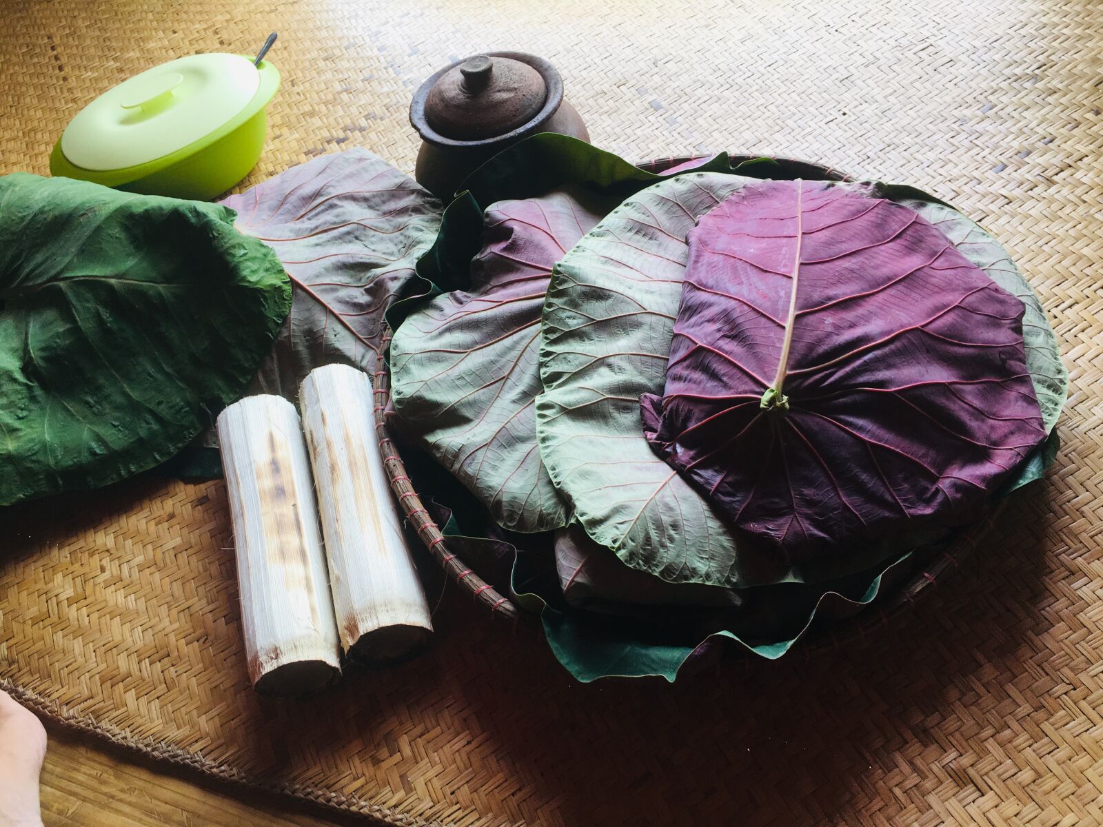 iPhone 6s Plus back camera 4.15mm f/2.2 sample photo. Native, food, leaf photography