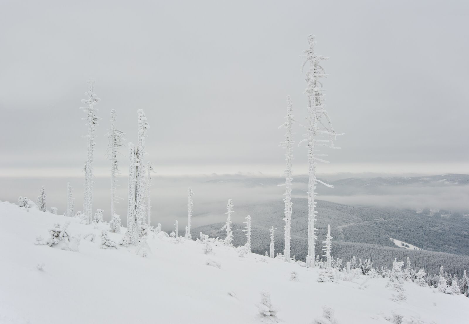 Nikon D700 sample photo. Mountains, winter, frost photography